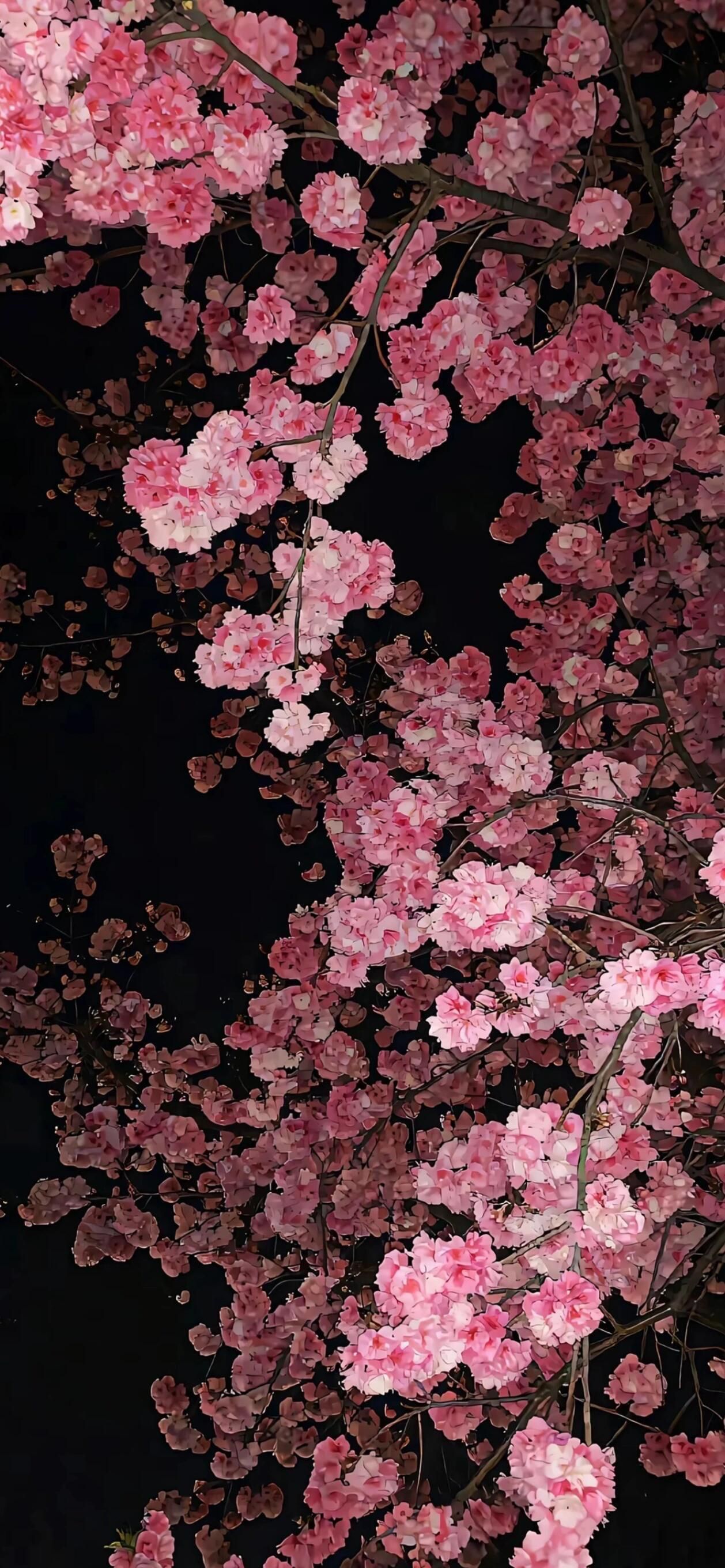 Ttlocal Depth