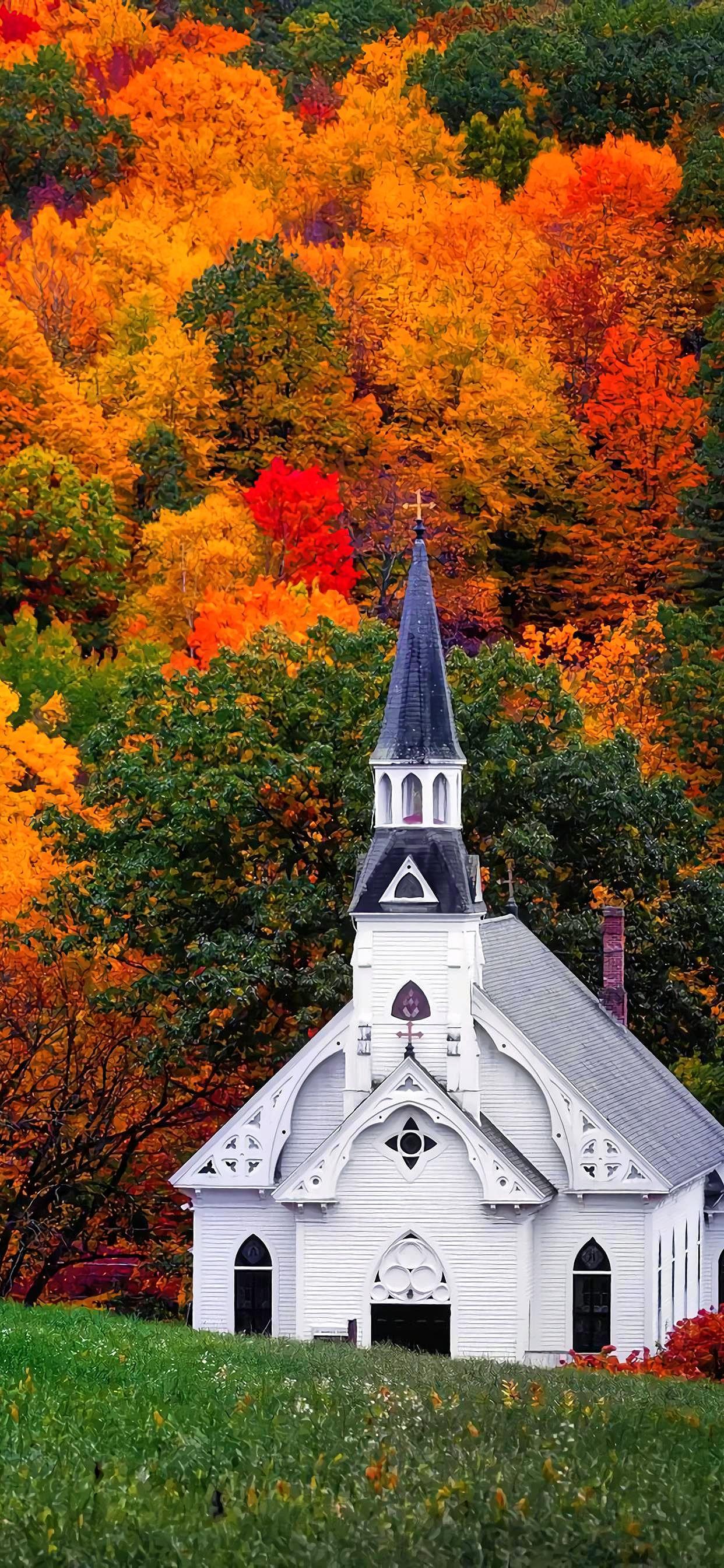 Ttlocal Autumn