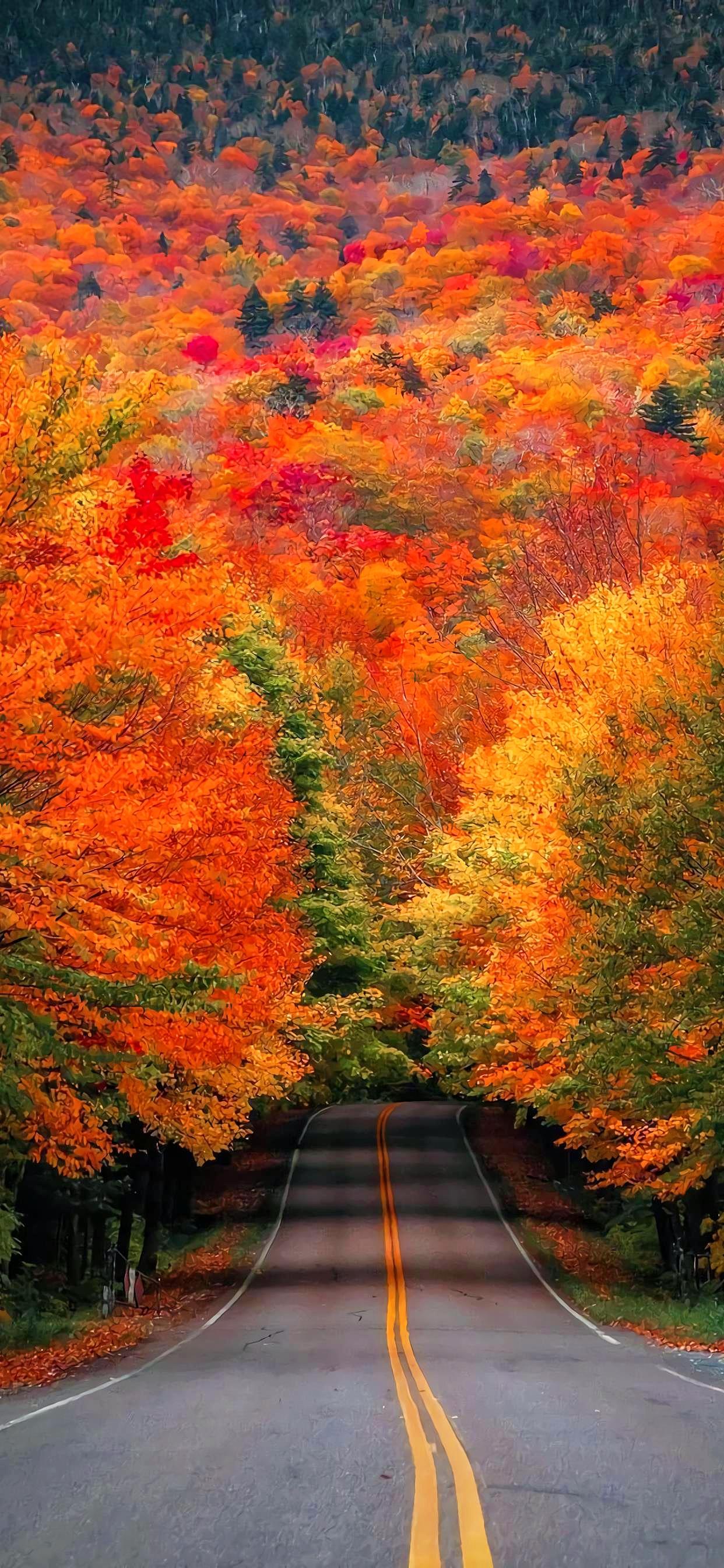 Ttlocal Autumn