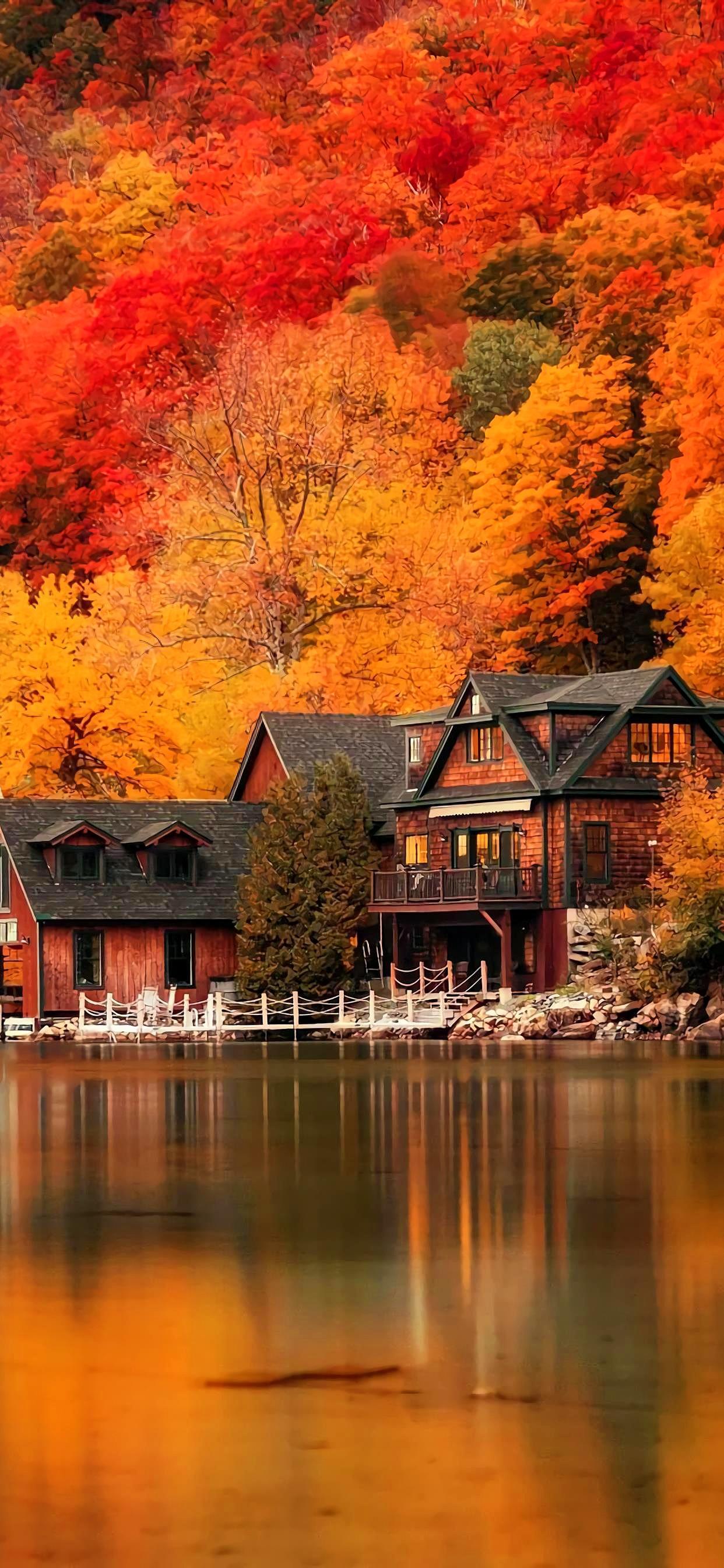 Ttlocal Autumn
