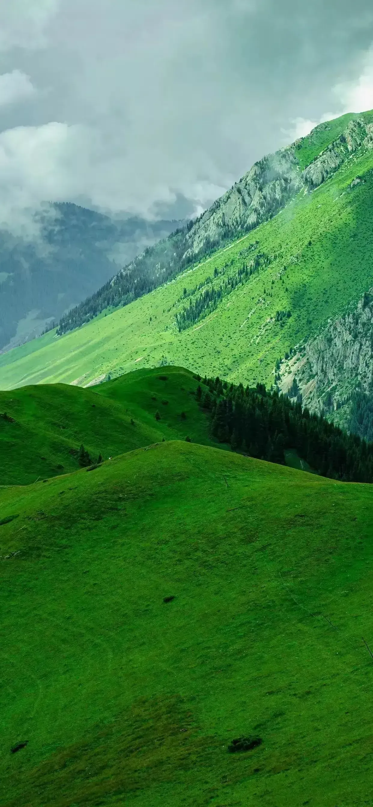 Ttlocal Nature