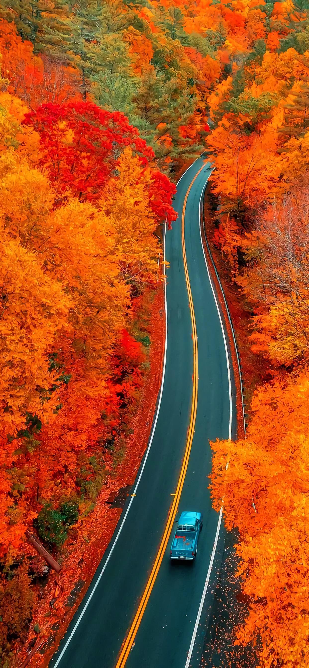 Ttlocal Autumn