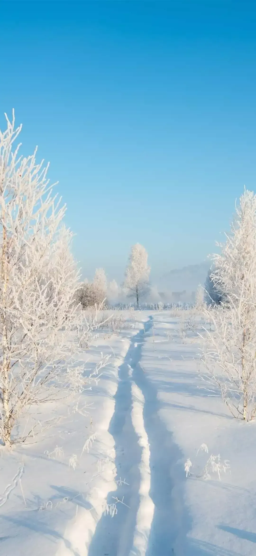 Ttlocal Nature