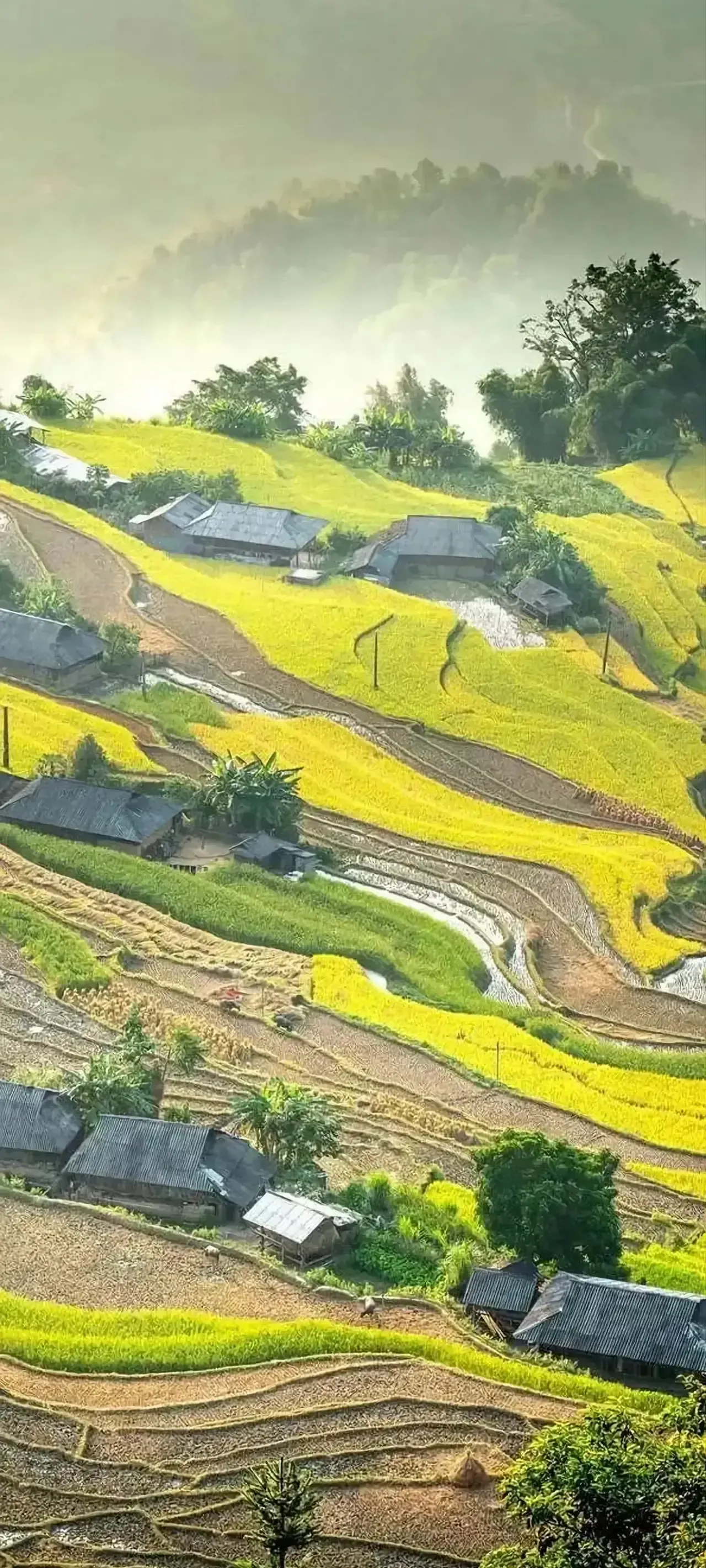 Ttlocal Nature