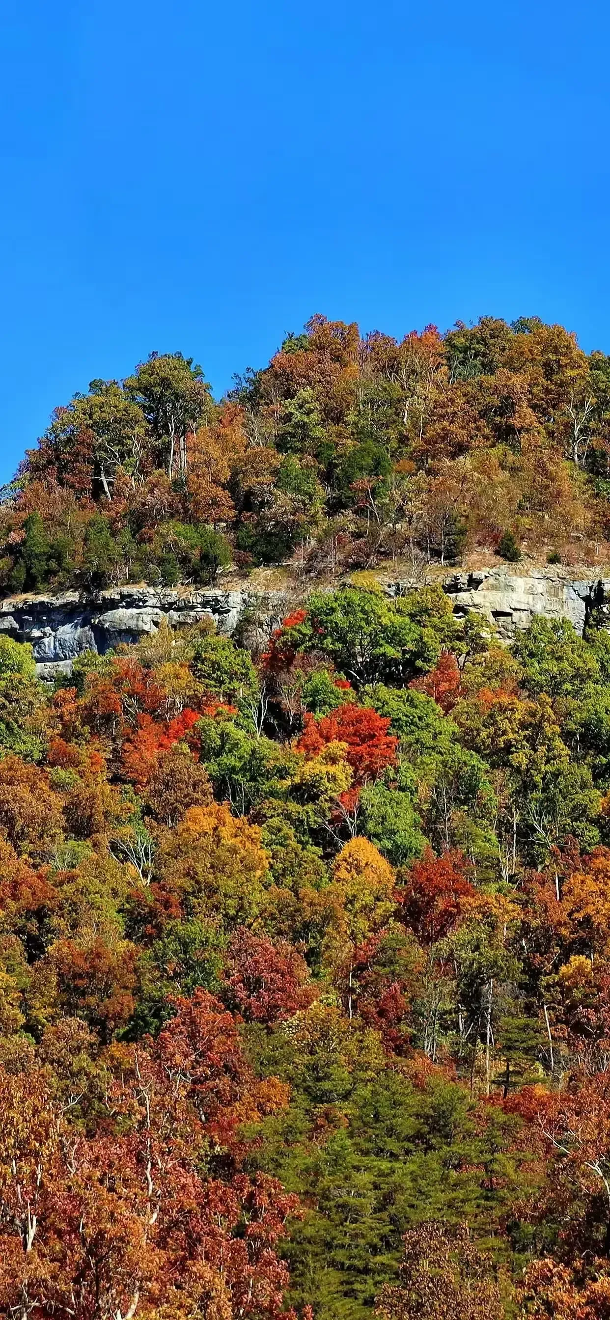 Ttlocal Nature