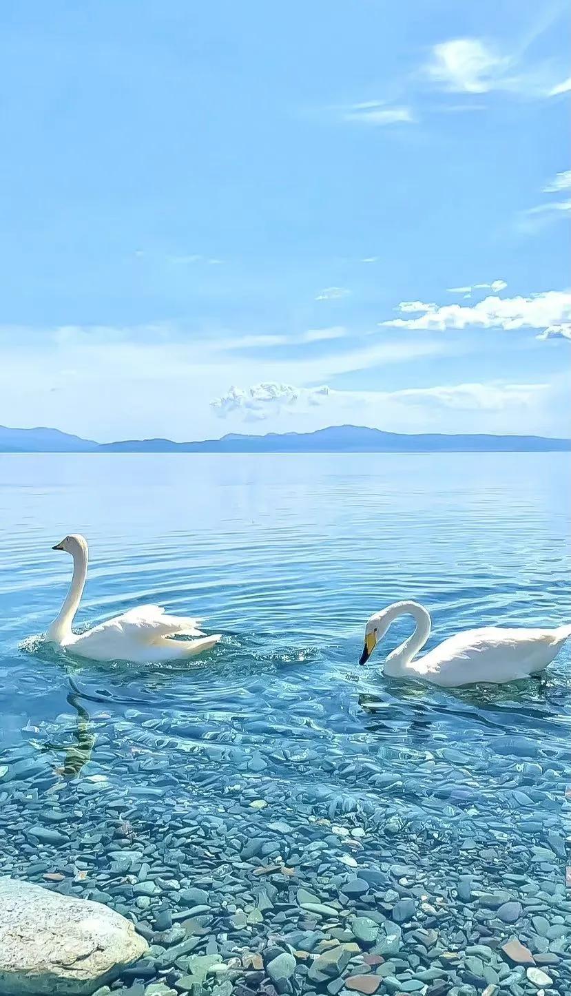 Ttlocal Nature