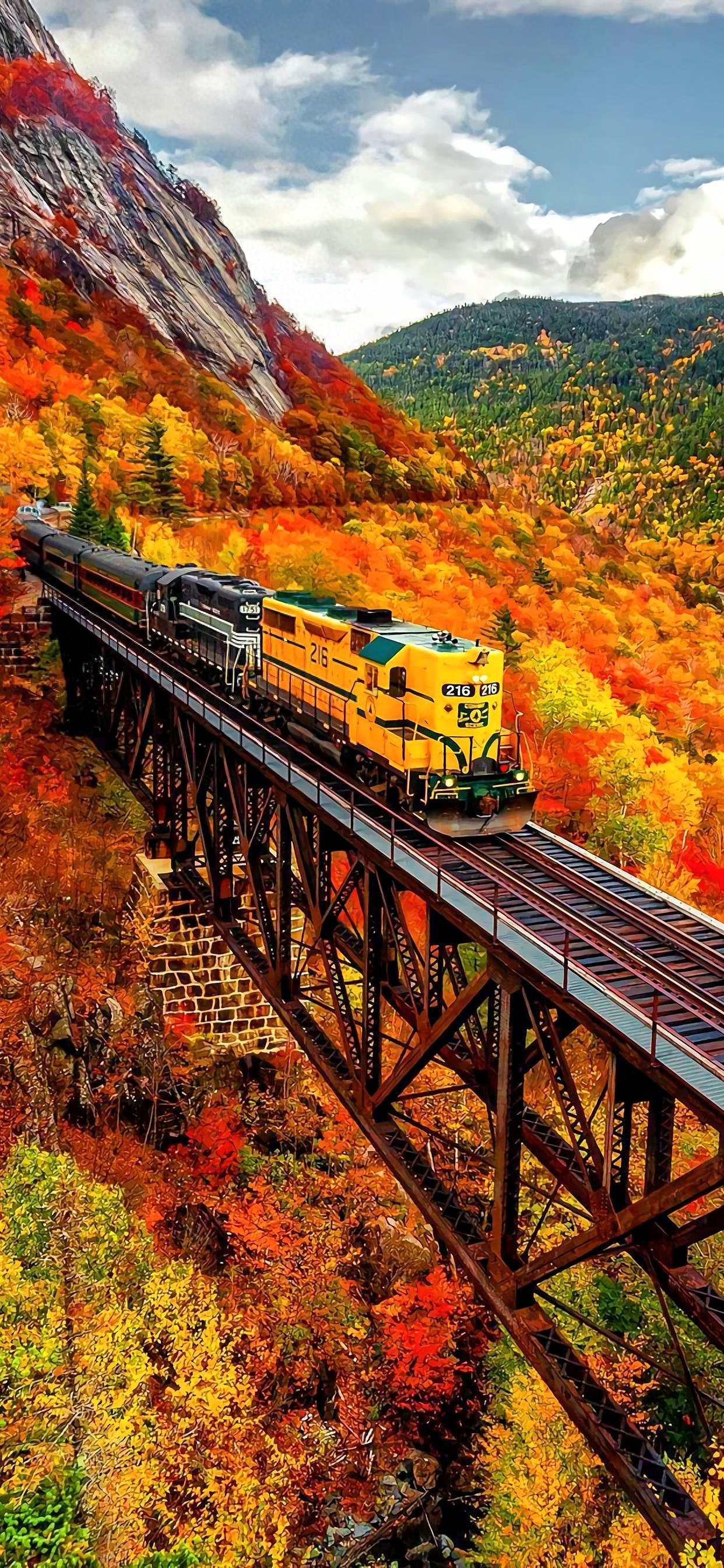 Ttlocal Autumn