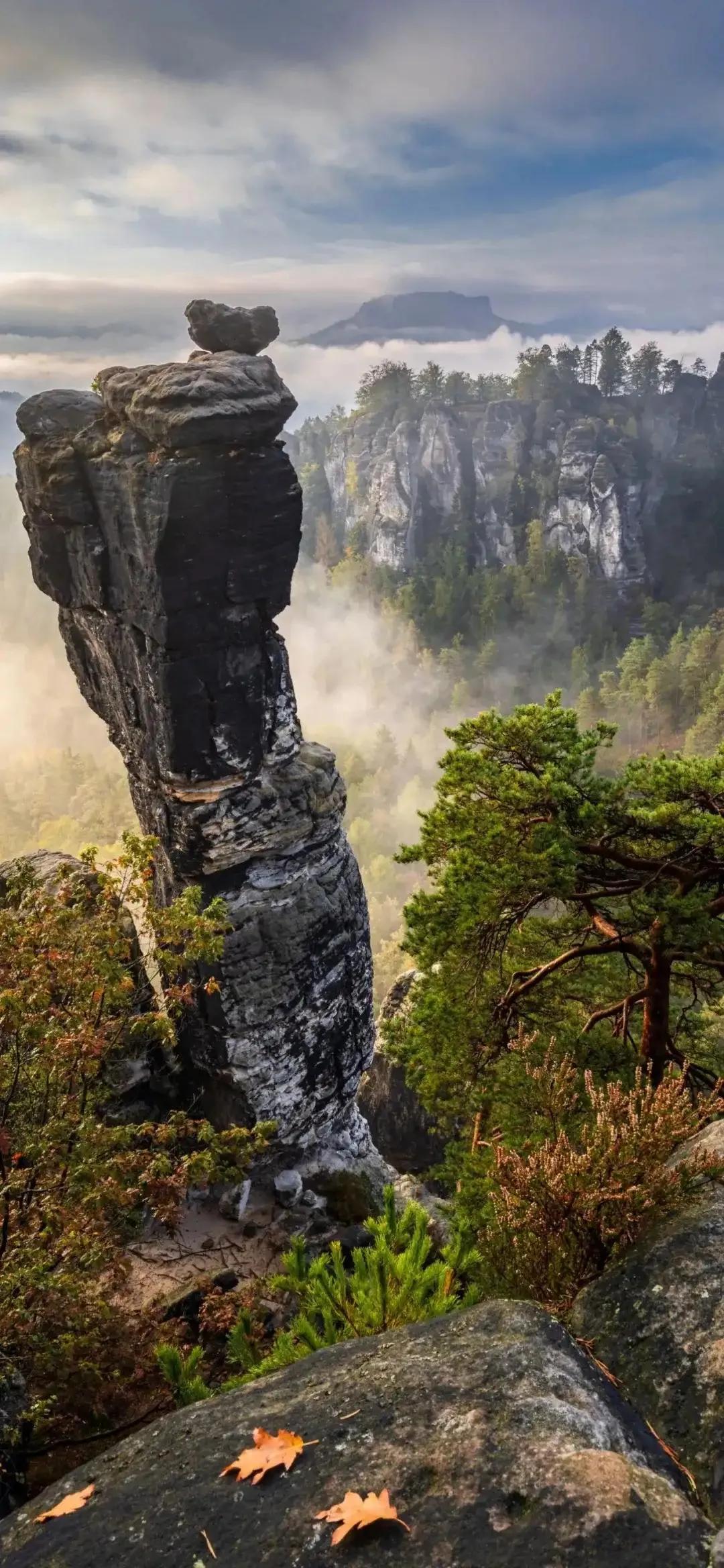 Ttlocal Nature