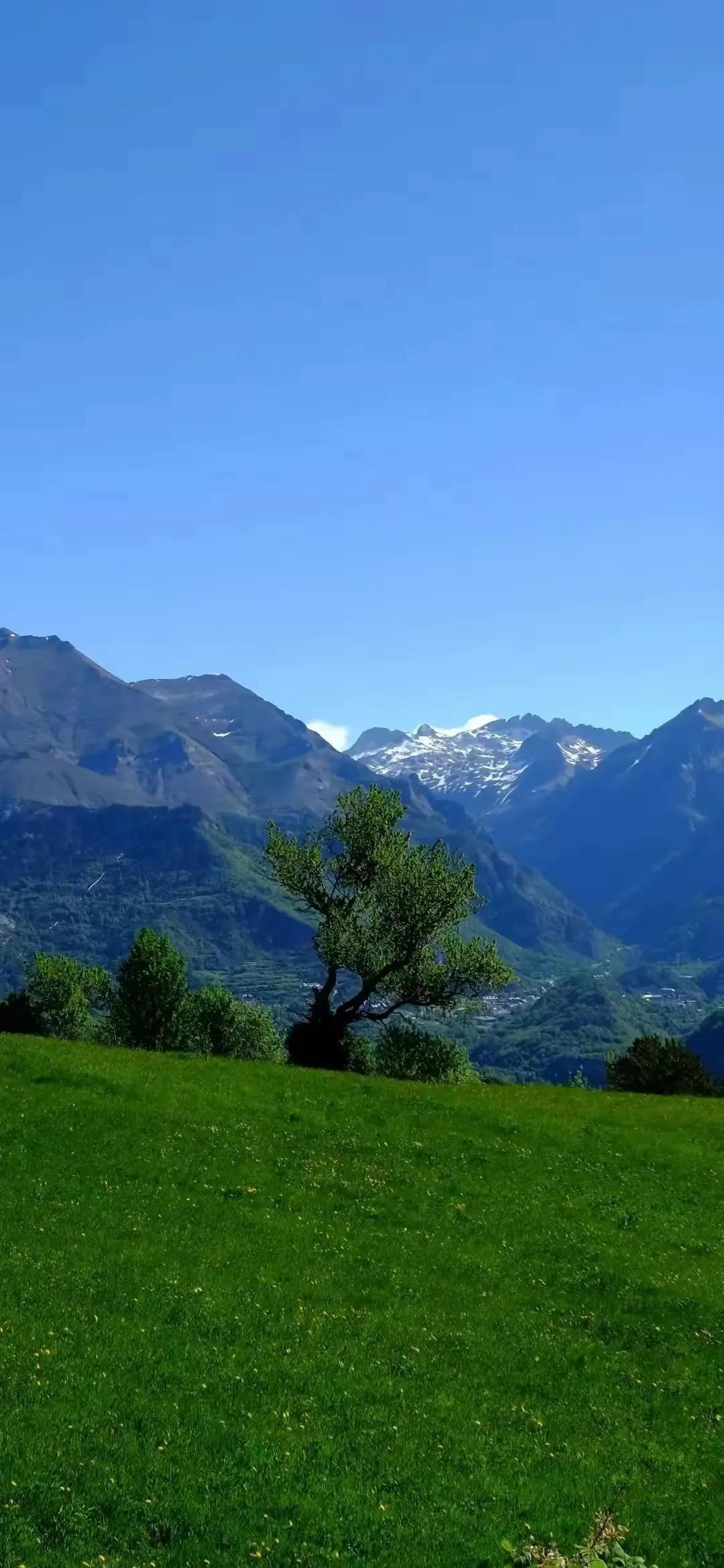 Ttlocal Nature