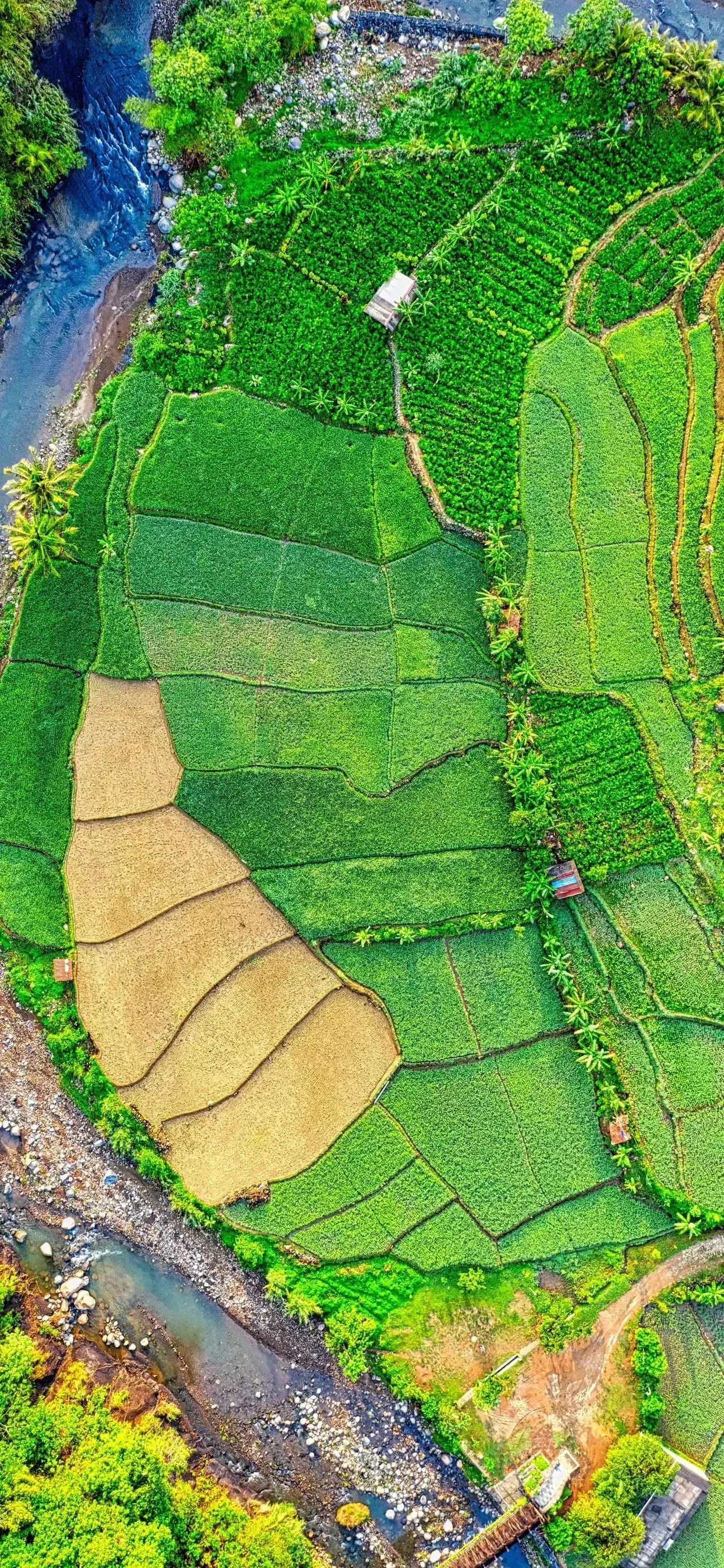 Ttlocal Nature