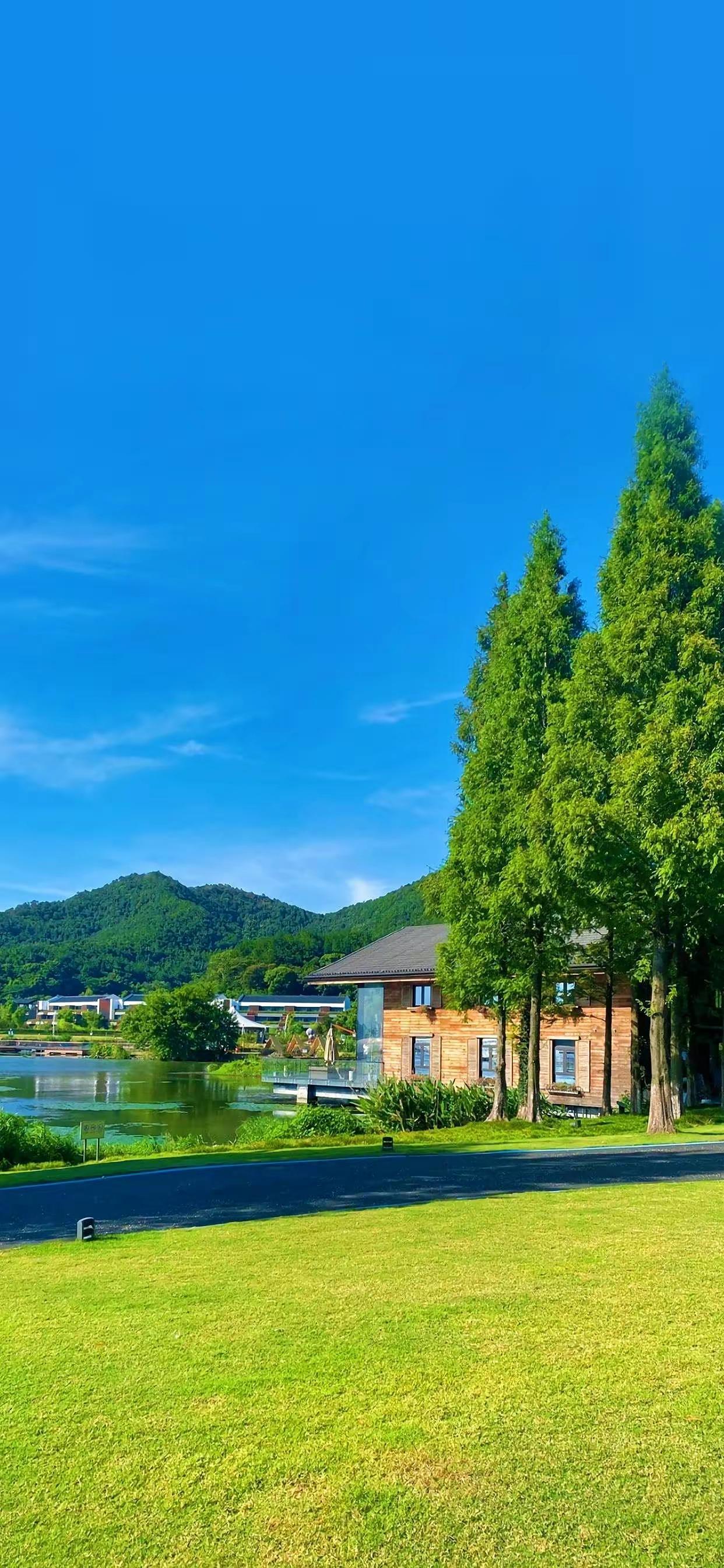Ttlocal Nature