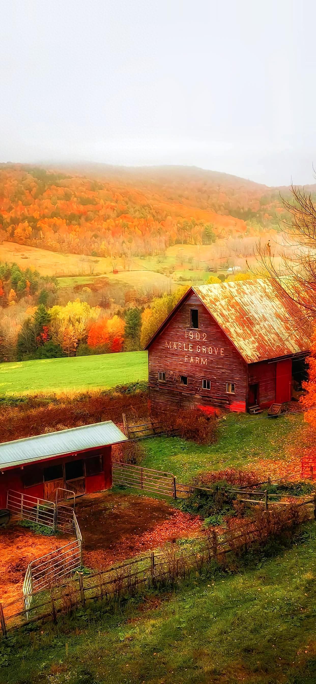 Ttlocal Autumn