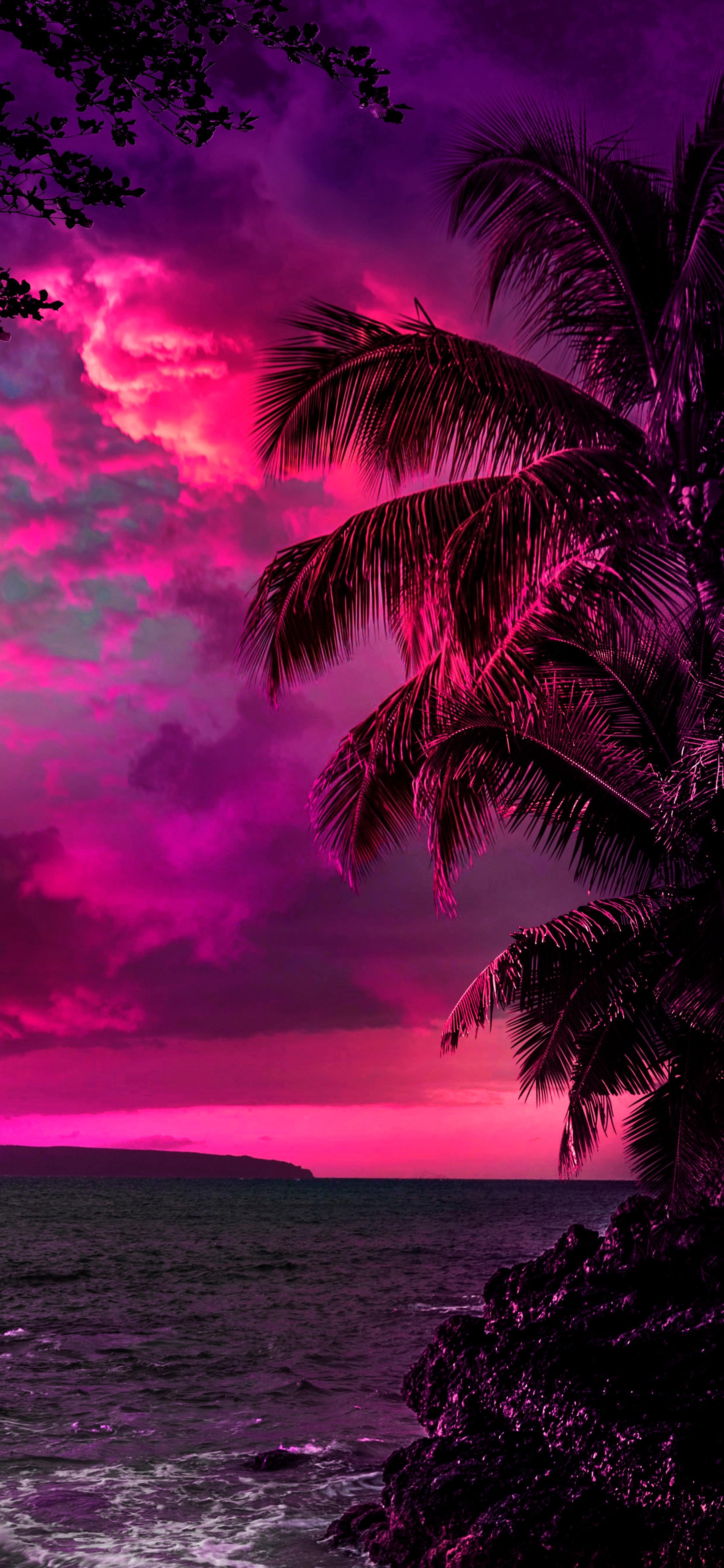 Ttlocal Nature