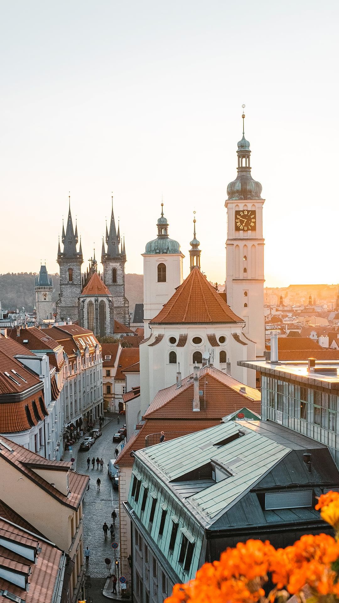1 (135)
