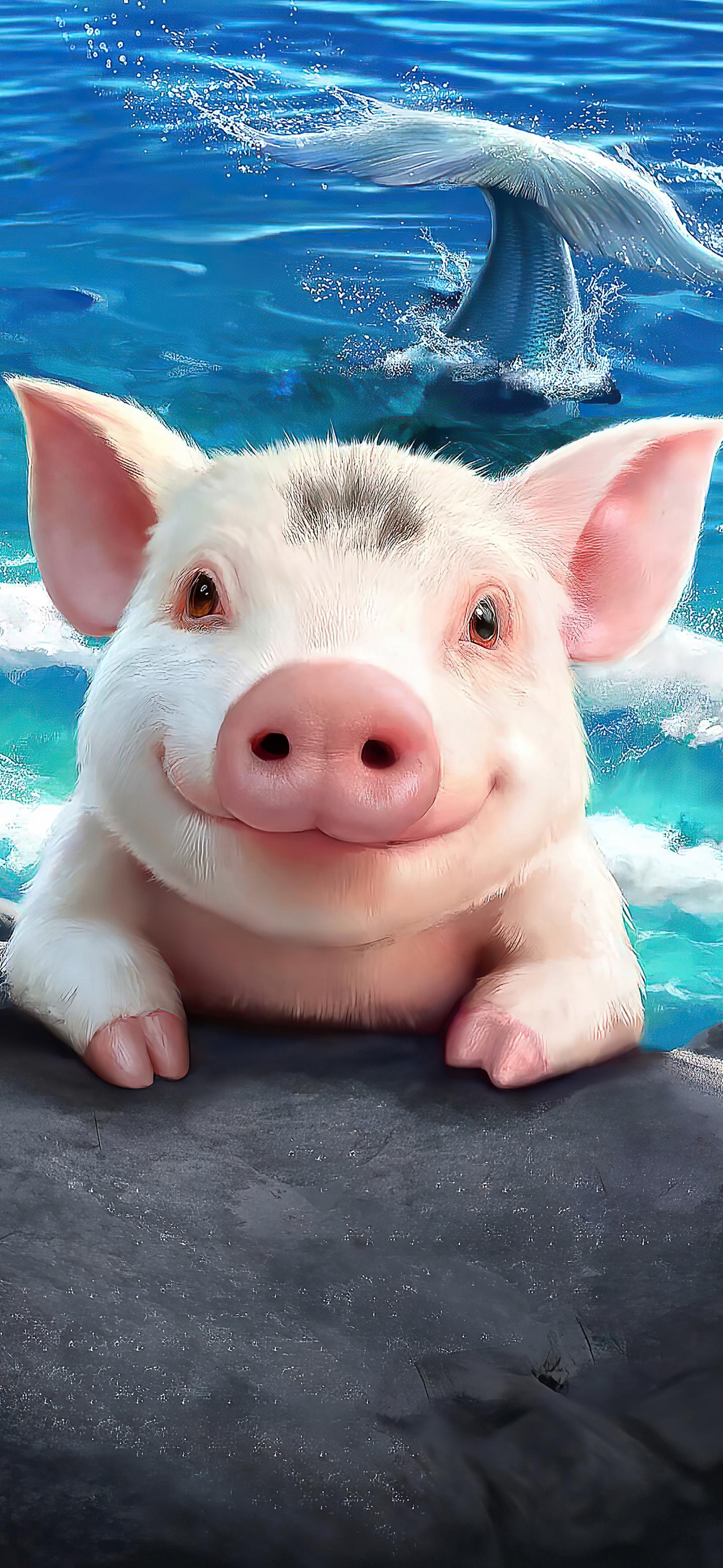 Ttlocal Animal