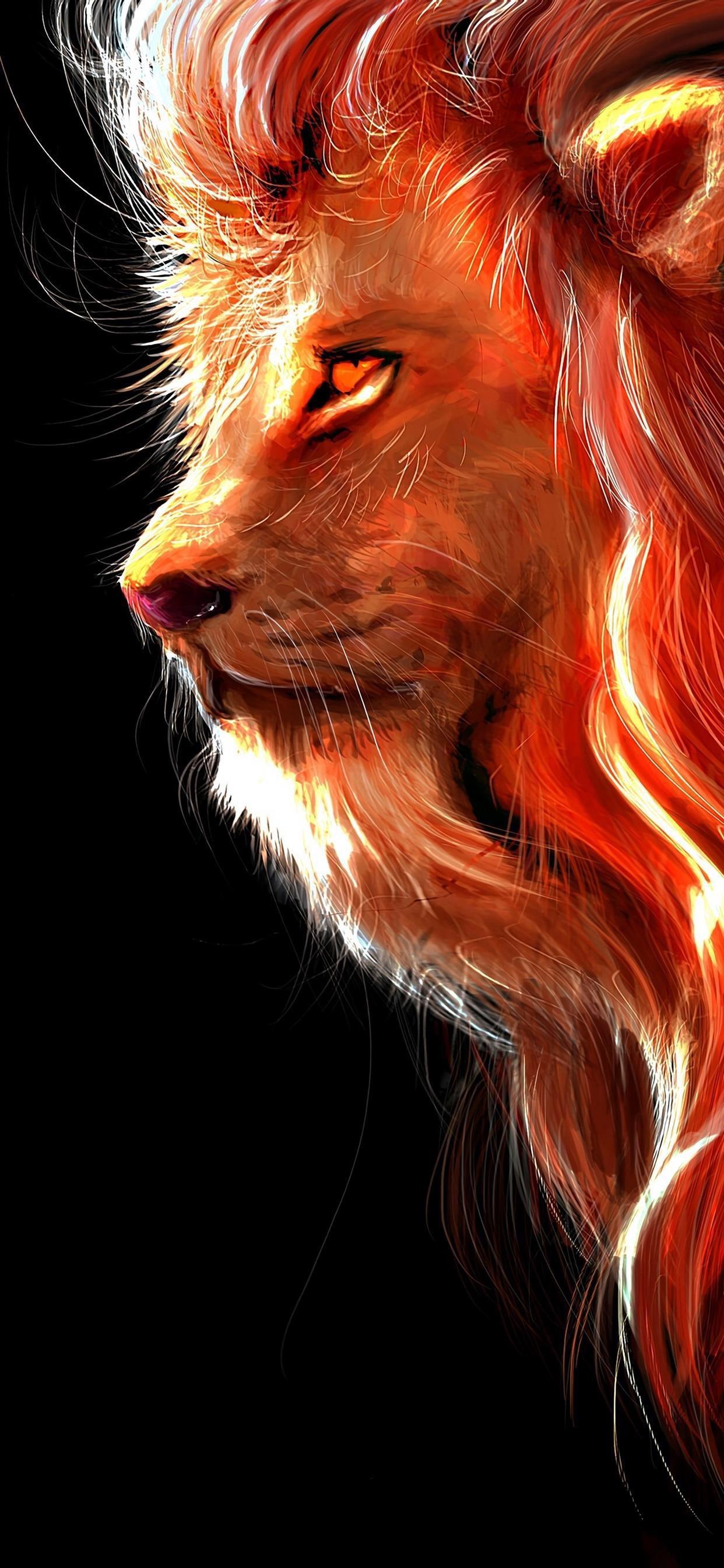 Ttlocal Animal