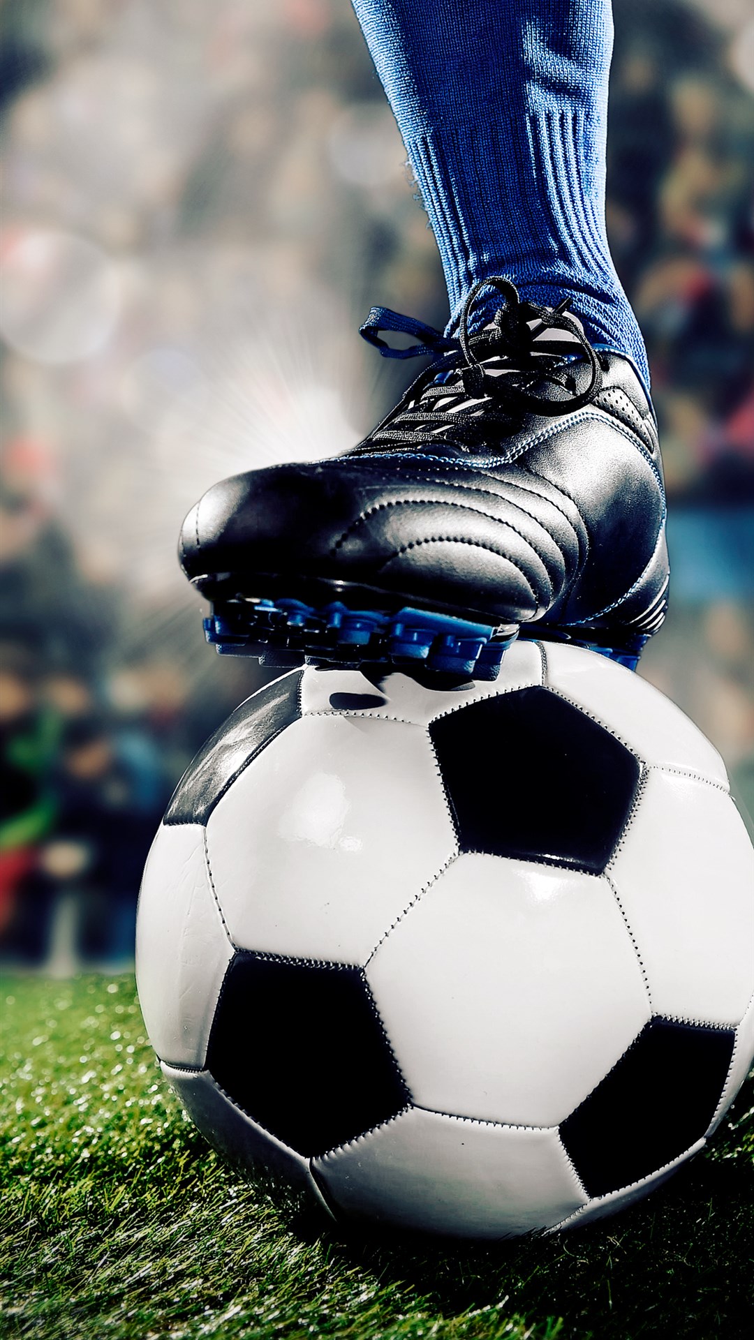 Sports Wallpaper