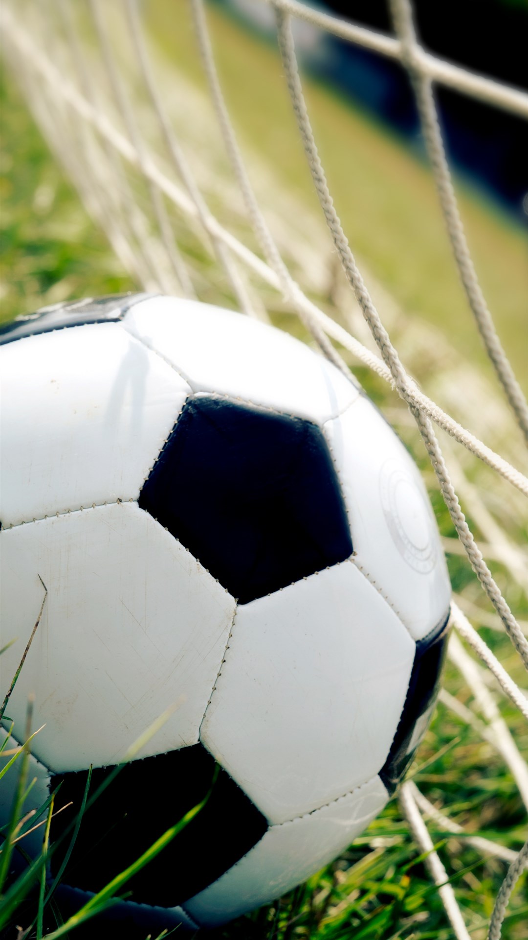 Sports Wallpaper