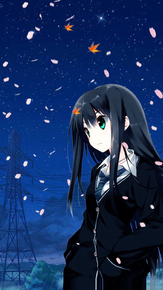Data Blossoms4322