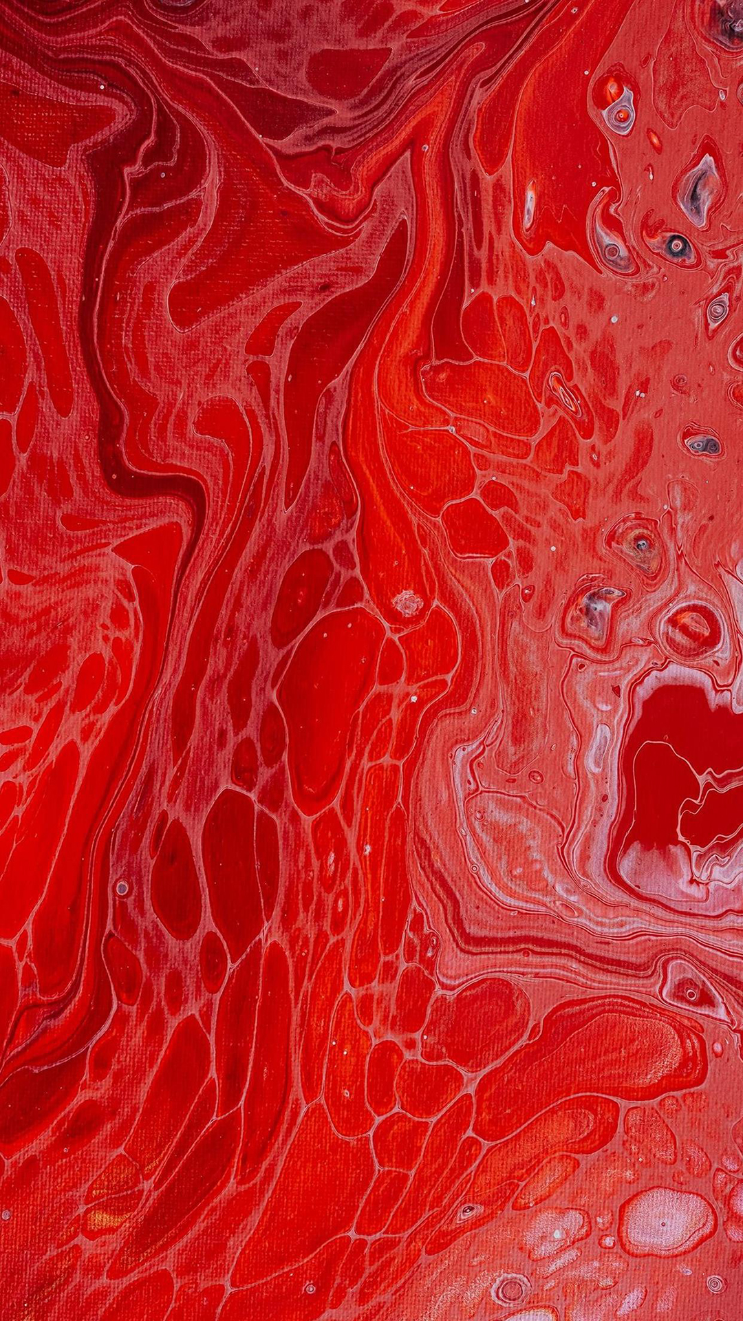 1 (41)