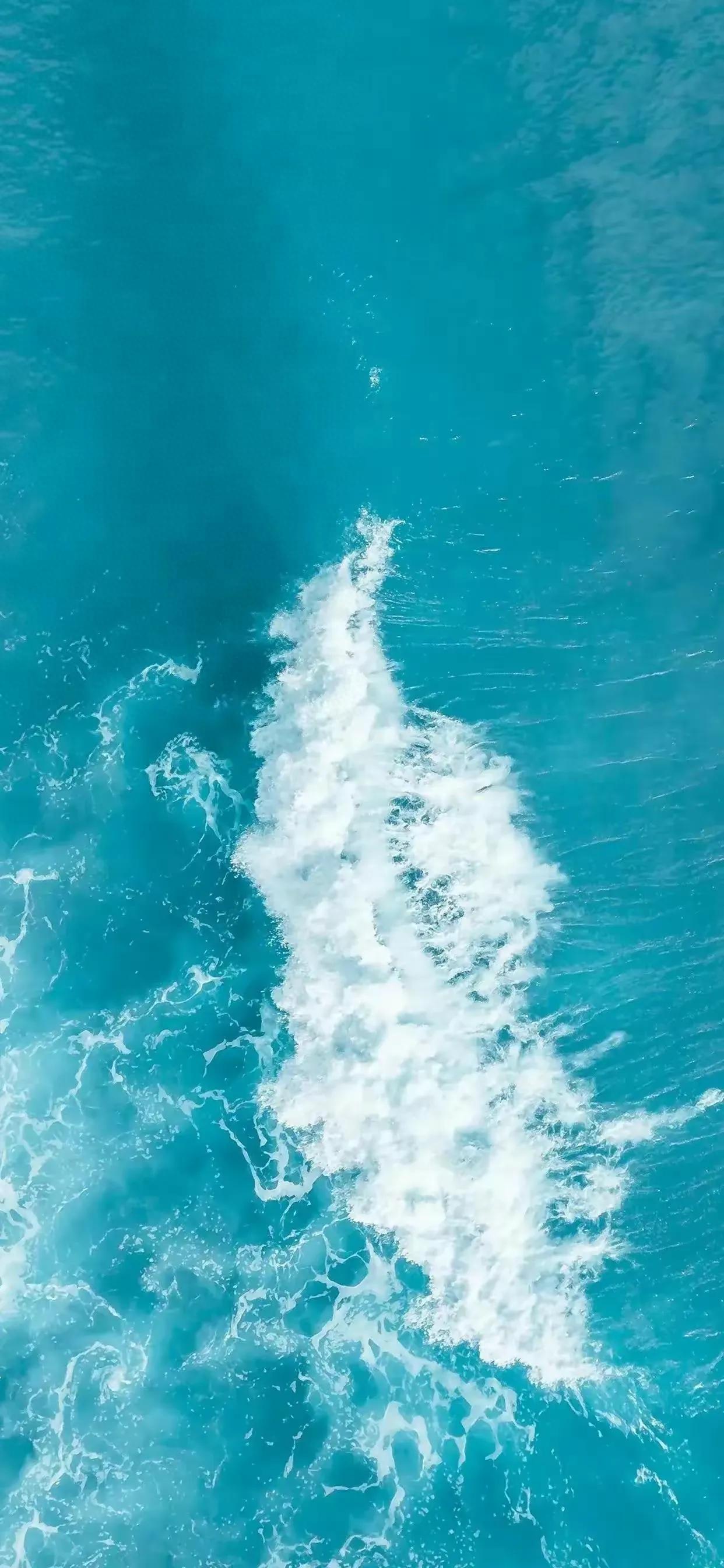 Ttlocal Sea