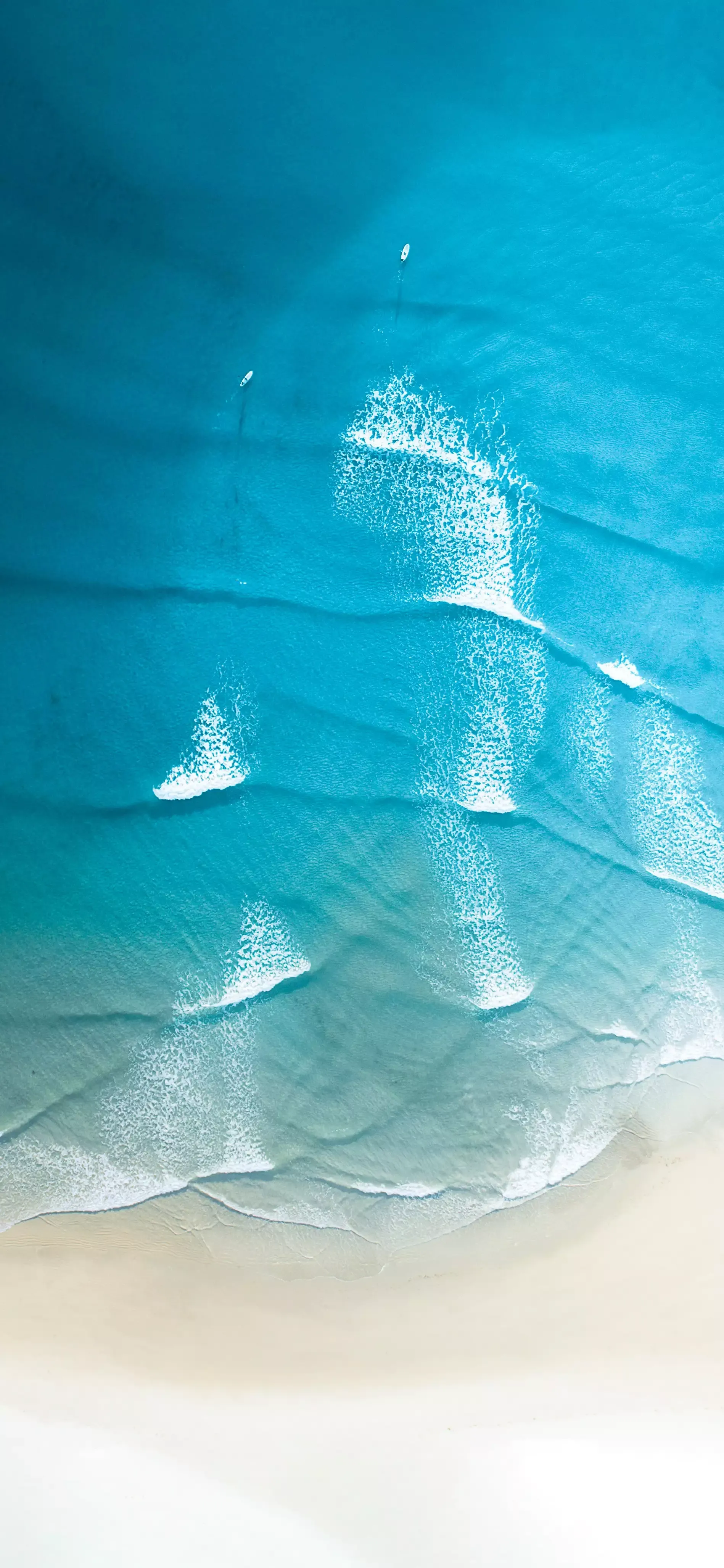 Ttlocal Sea