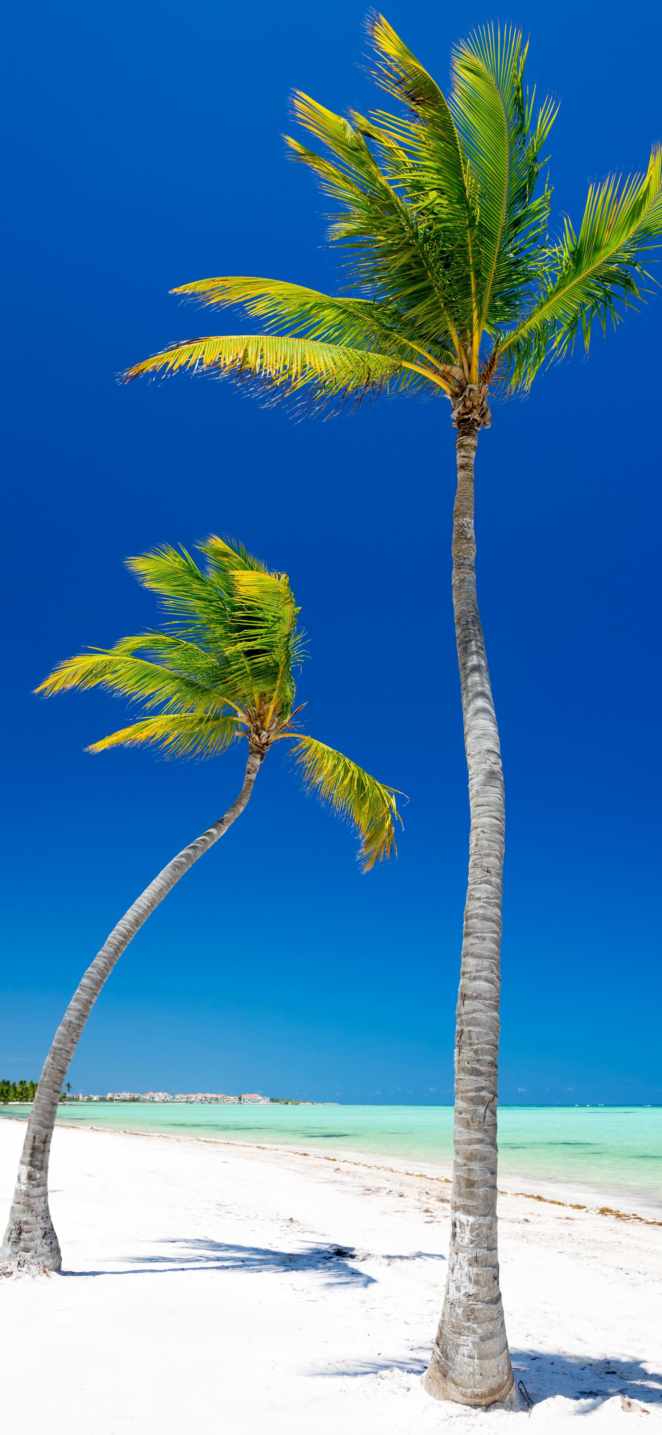 Ttlocal Summer