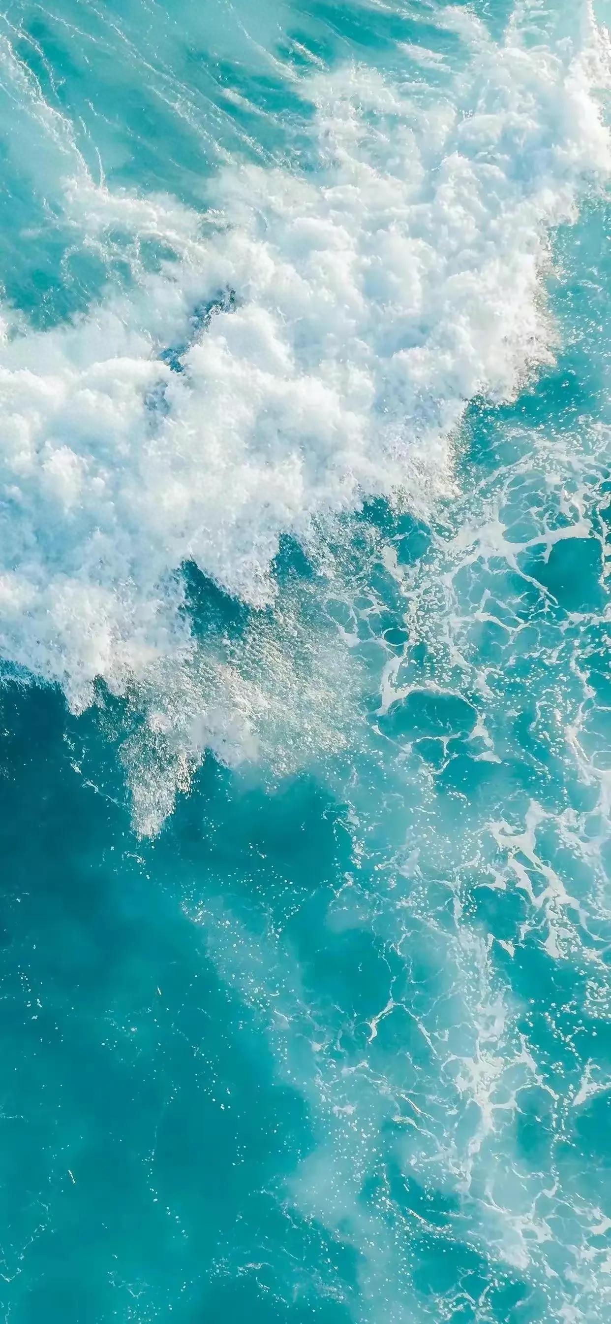 Ttlocal Sea