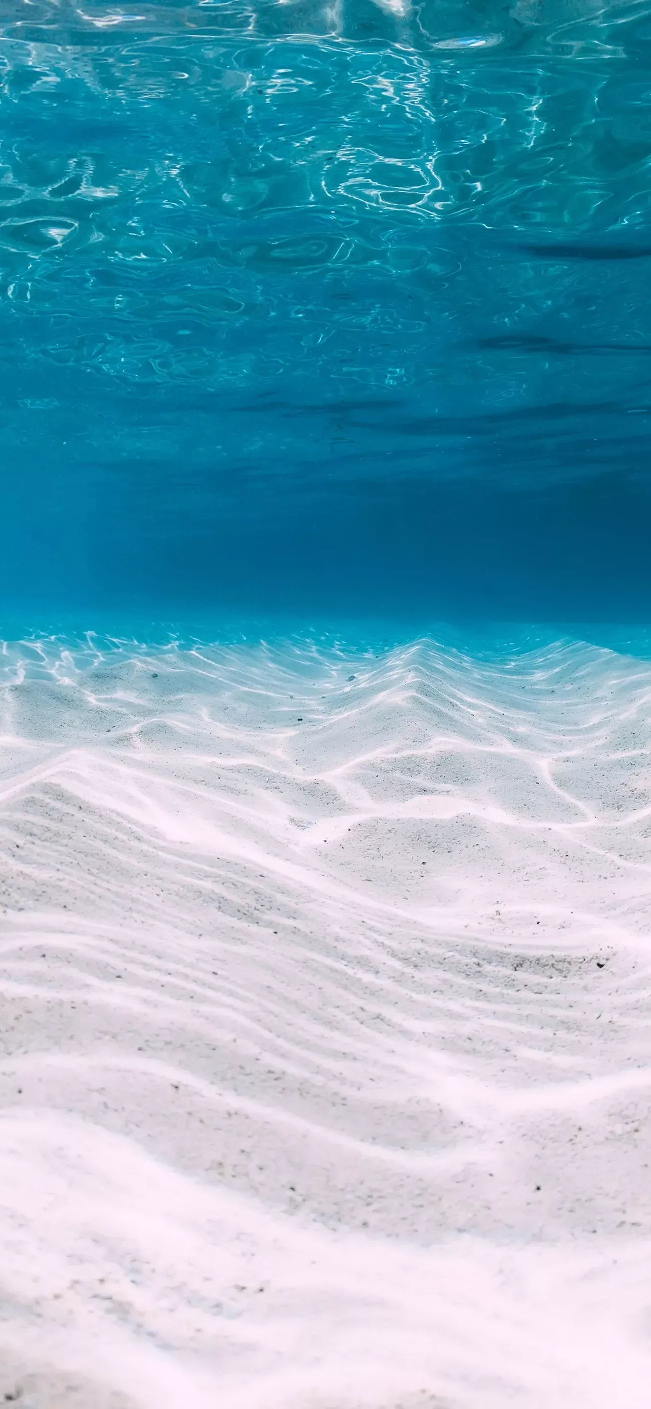 Ttlocal Sea