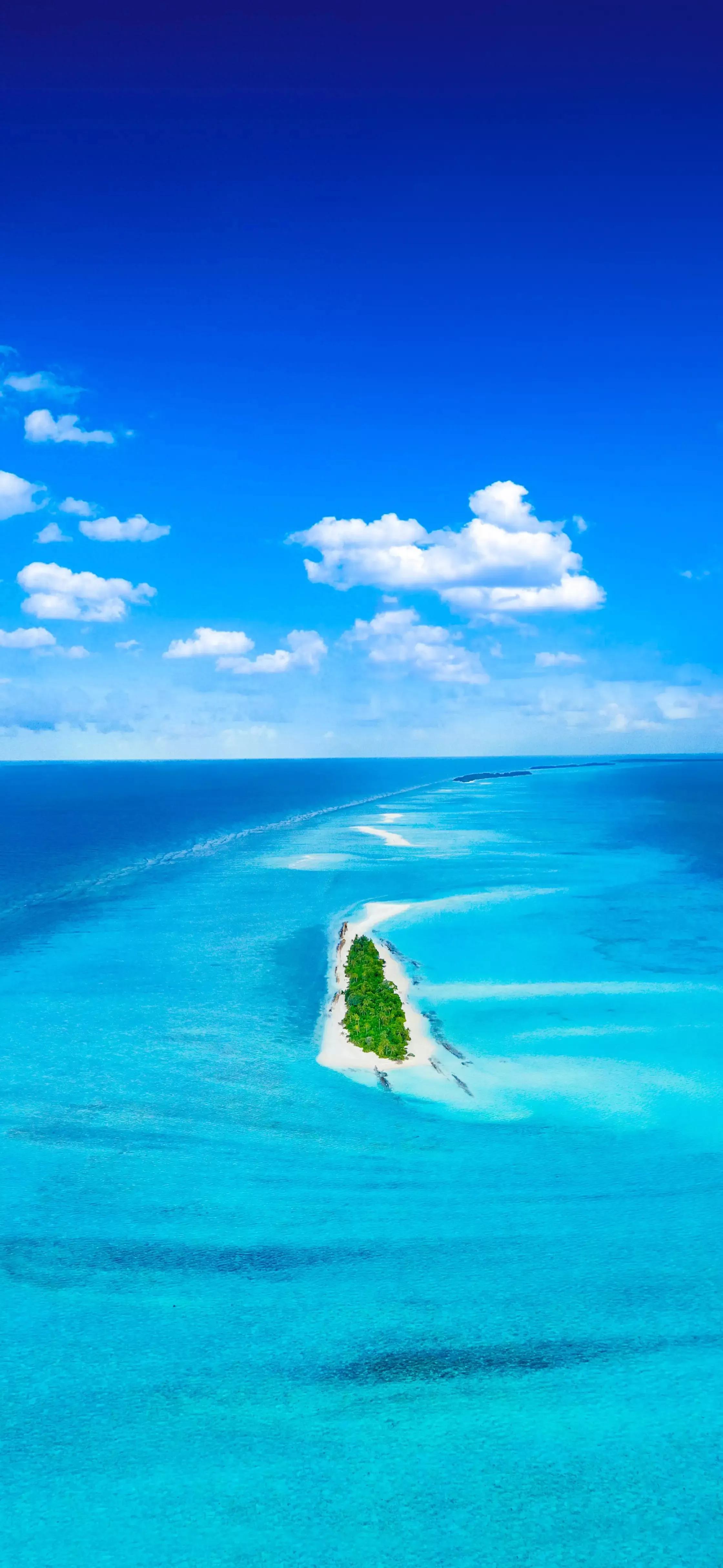 Ttlocal Sea