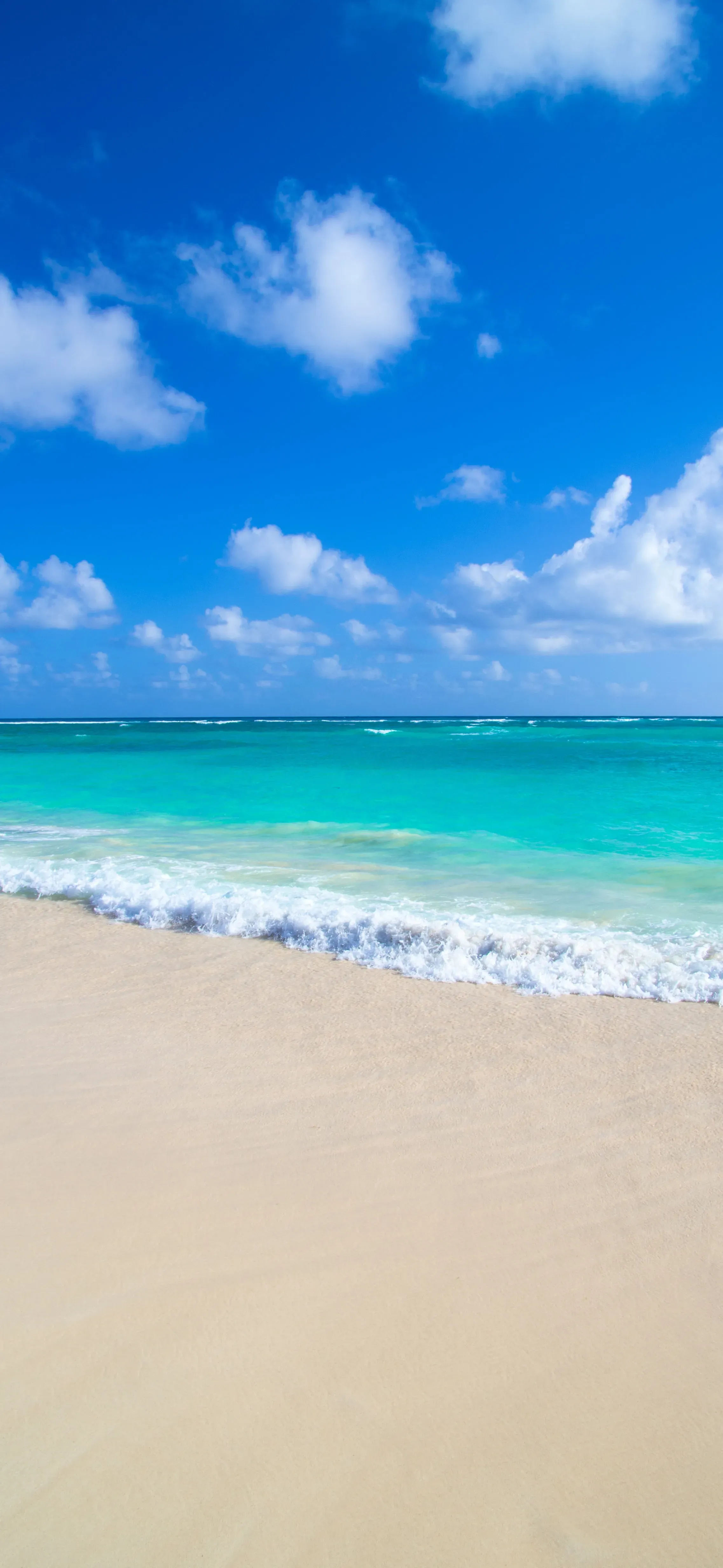 Ttlocal Sea