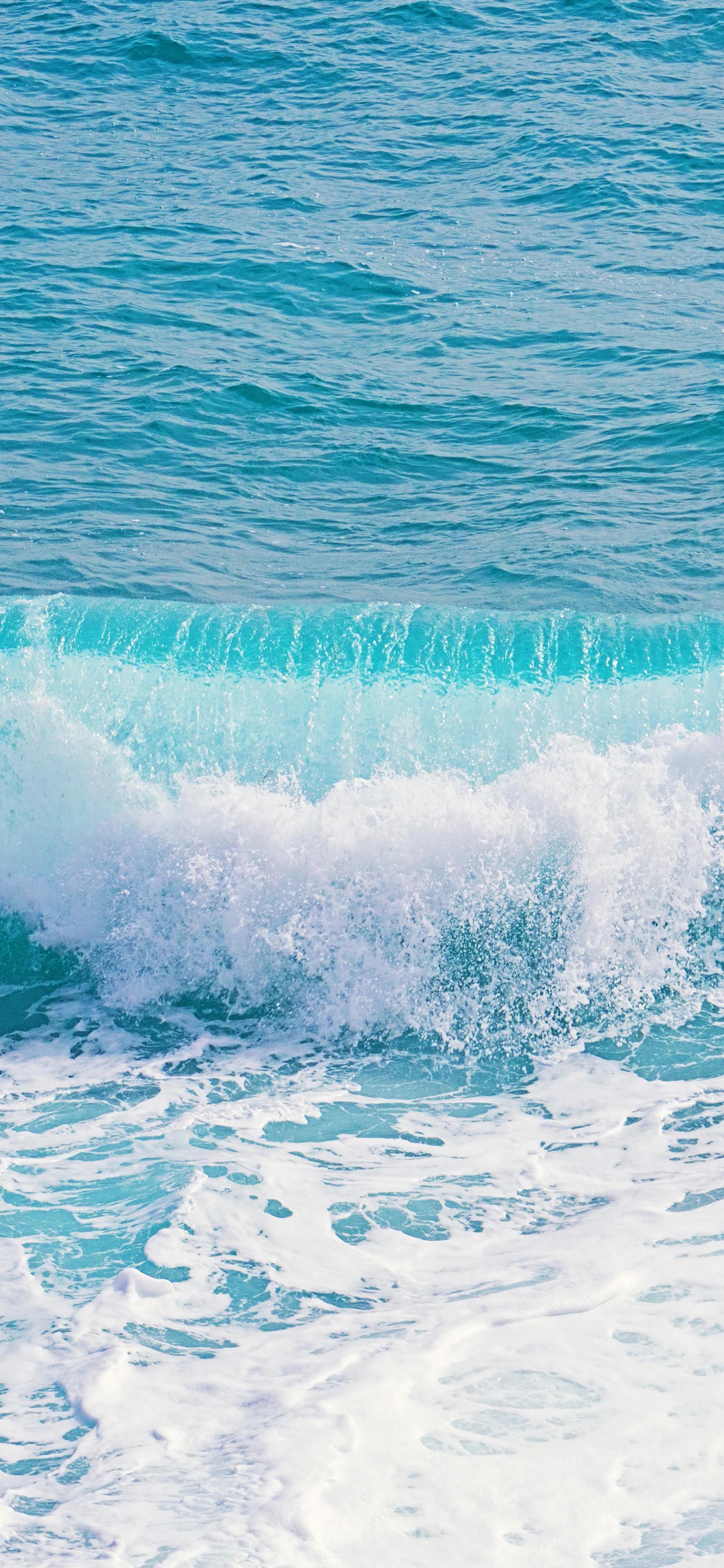 Ttlocal Sea