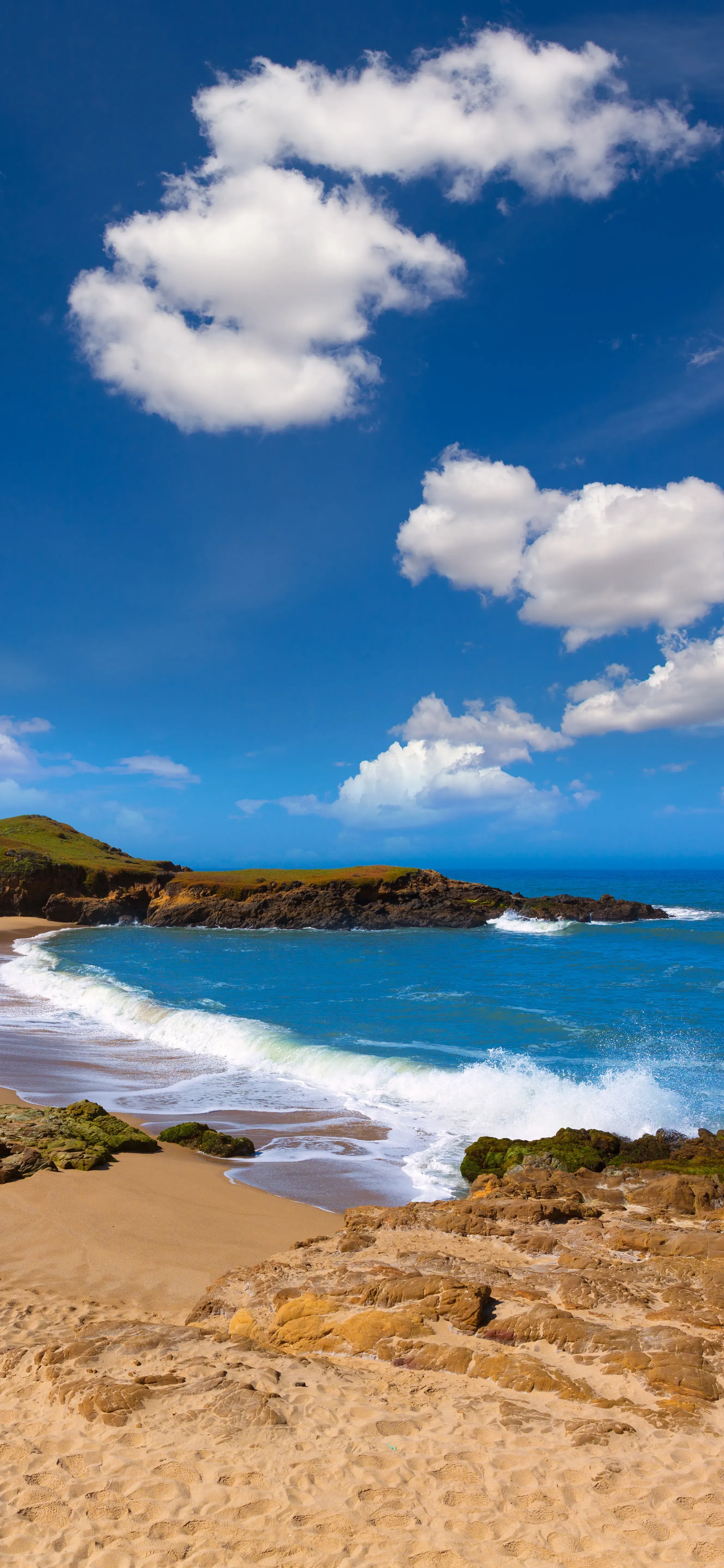 Ttlocal Sea