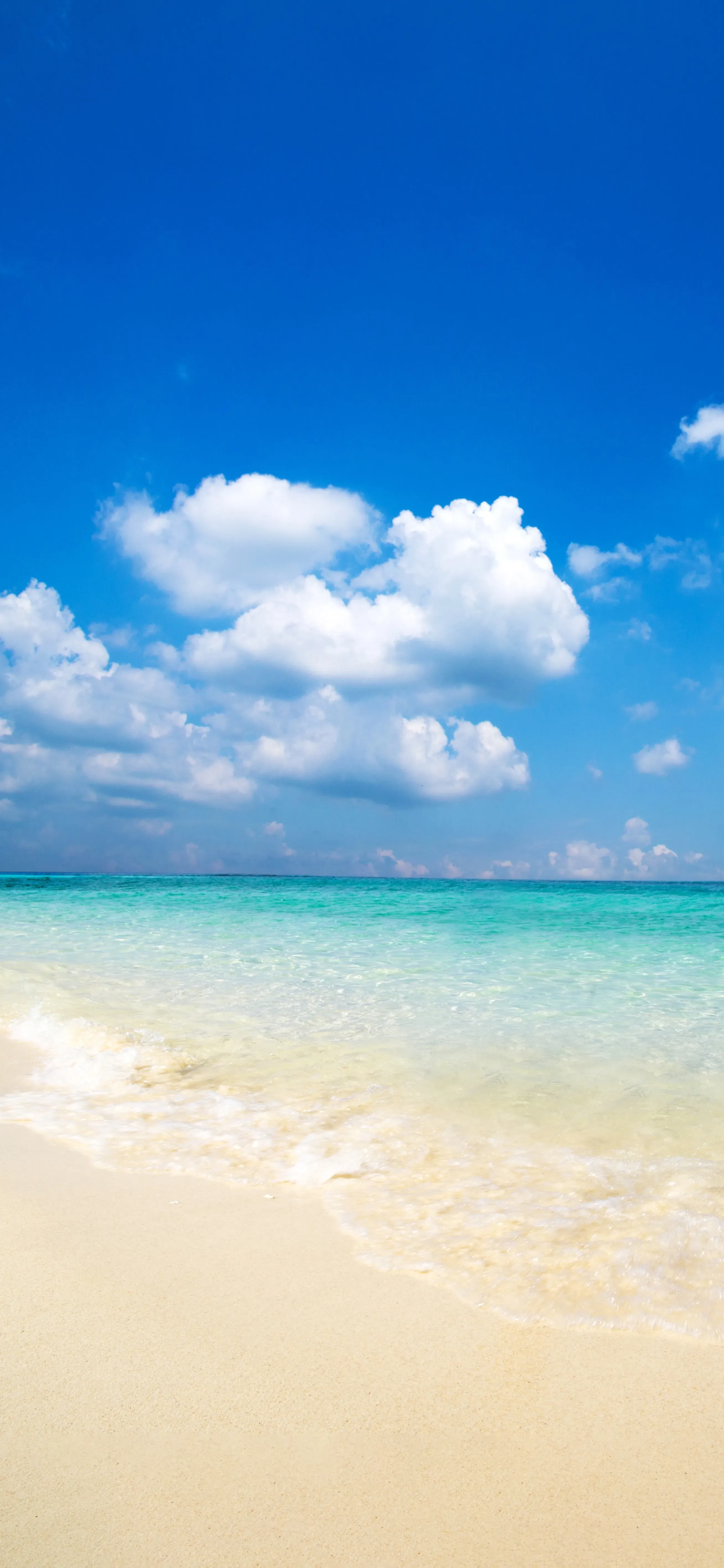 Ttlocal Sea