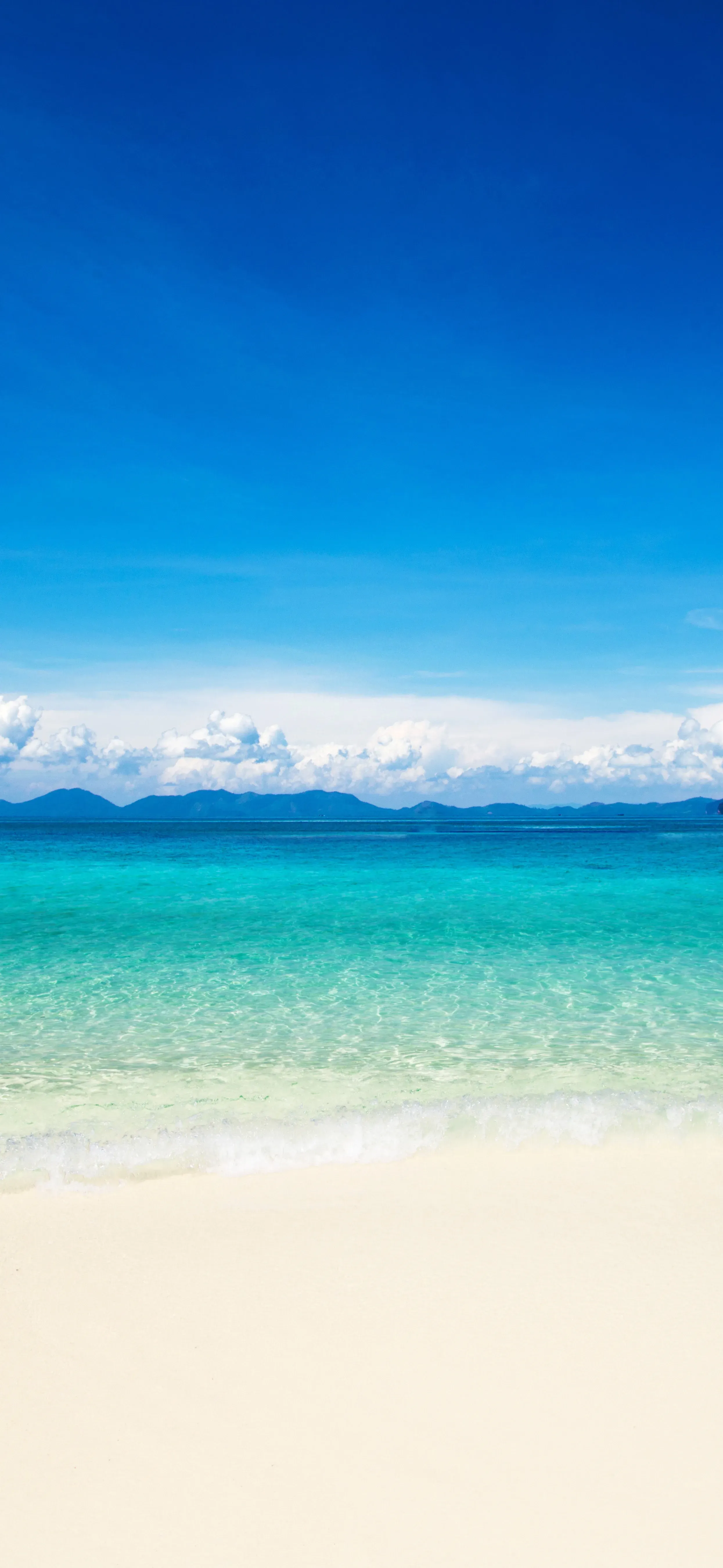 Ttlocal Sea