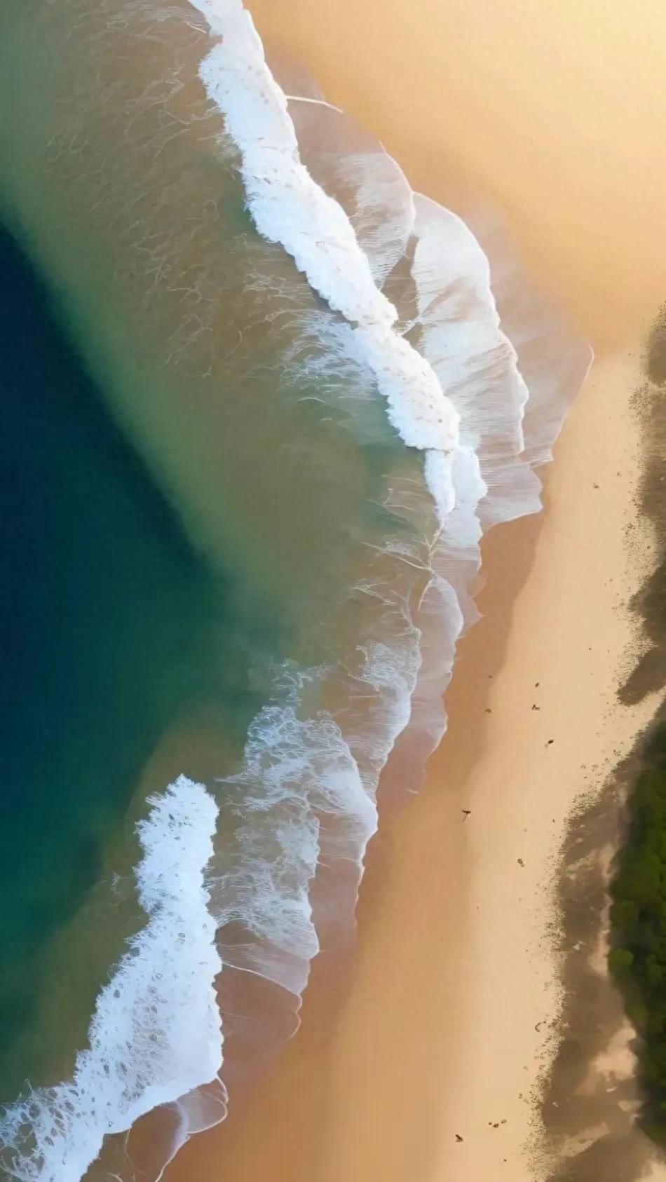 Ttlocal Sea