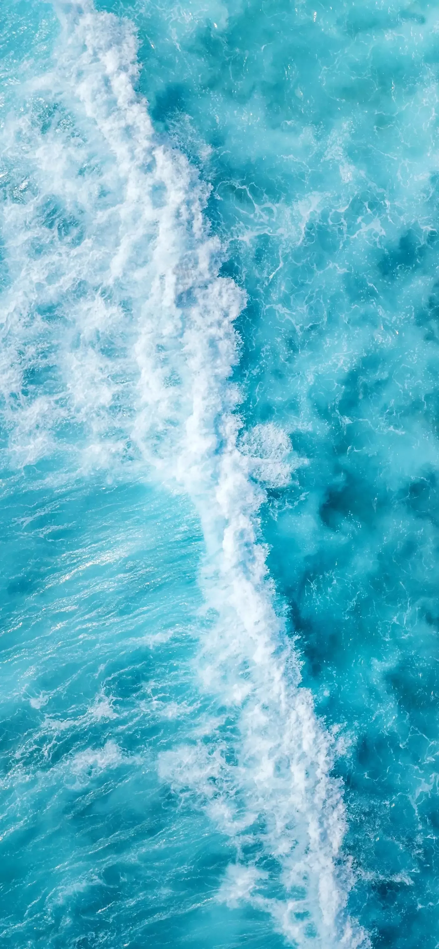 Ttlocal Sea