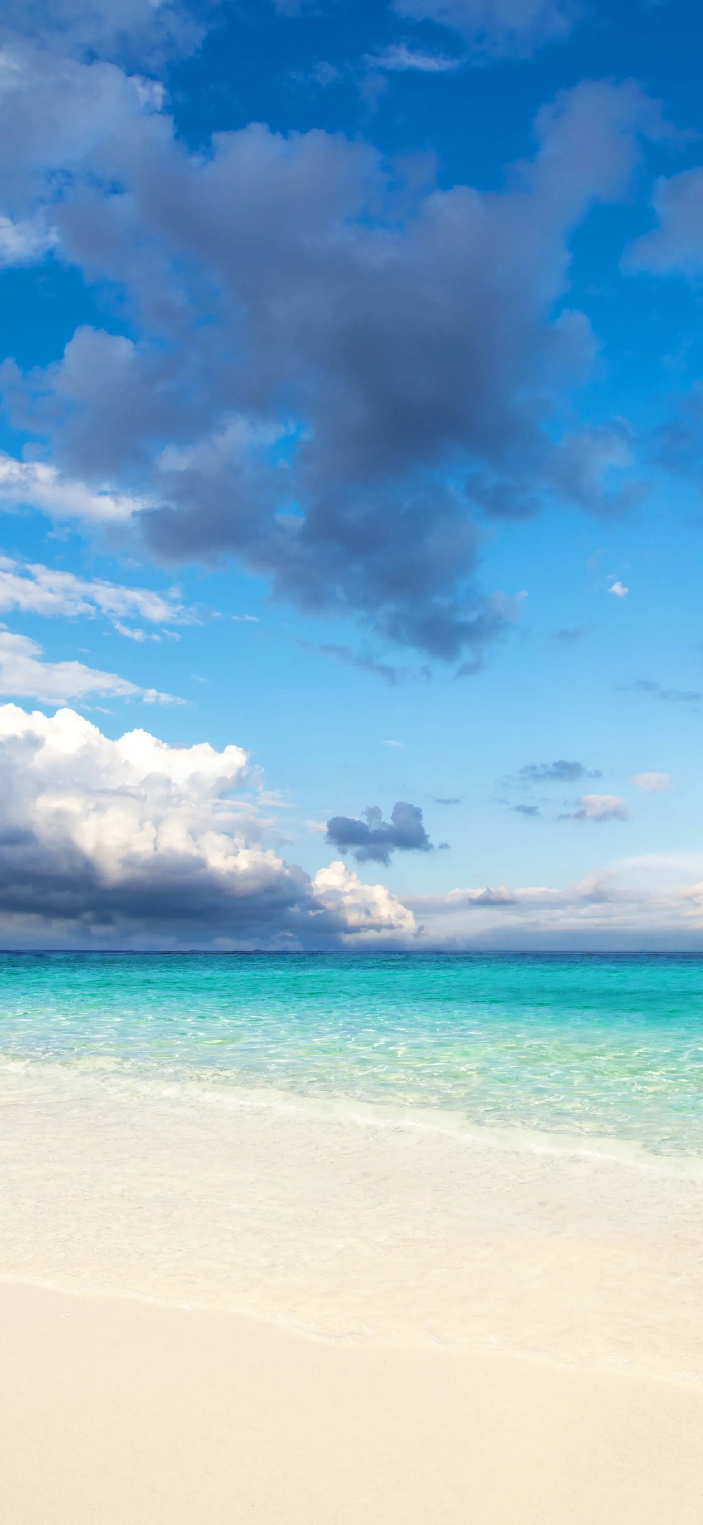 Ttlocal Sea