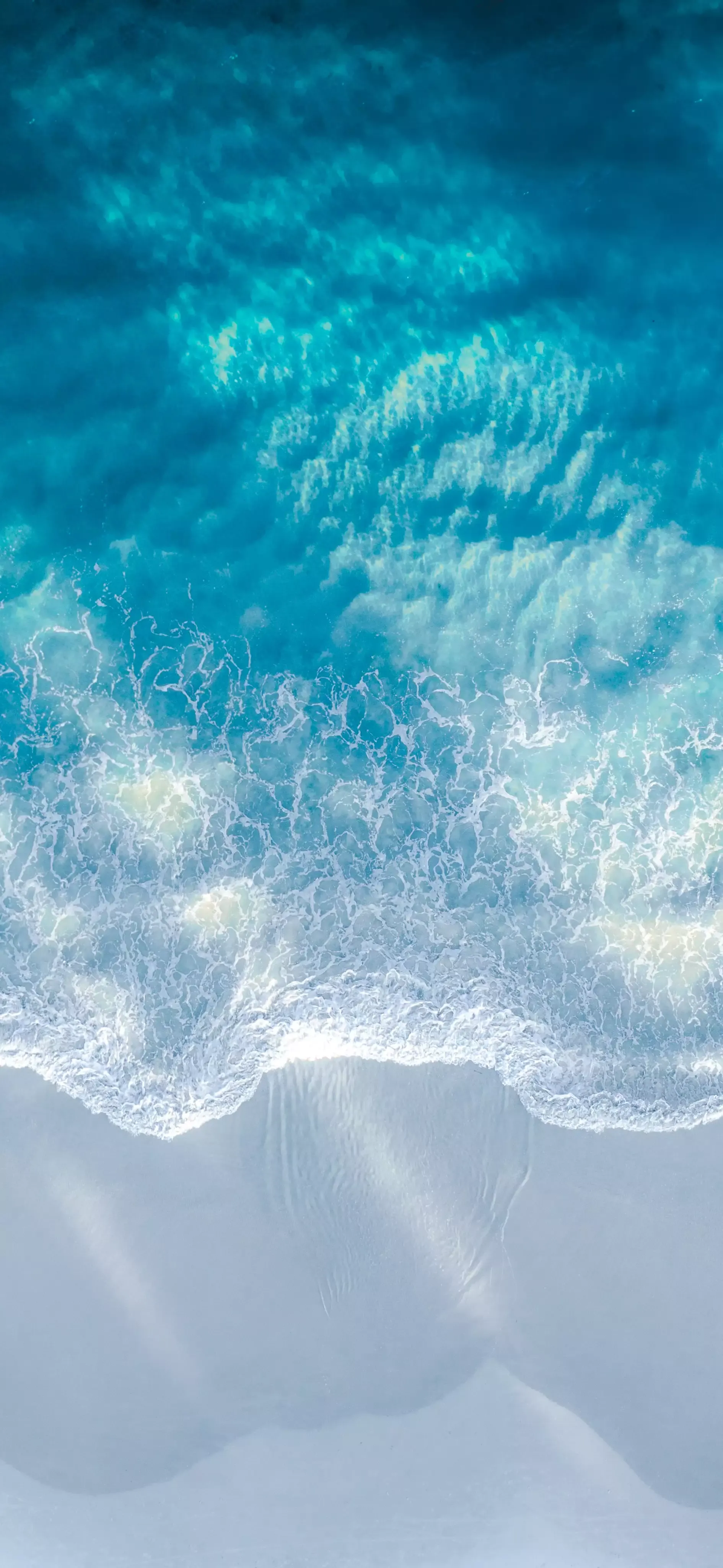 Ttlocal Sea