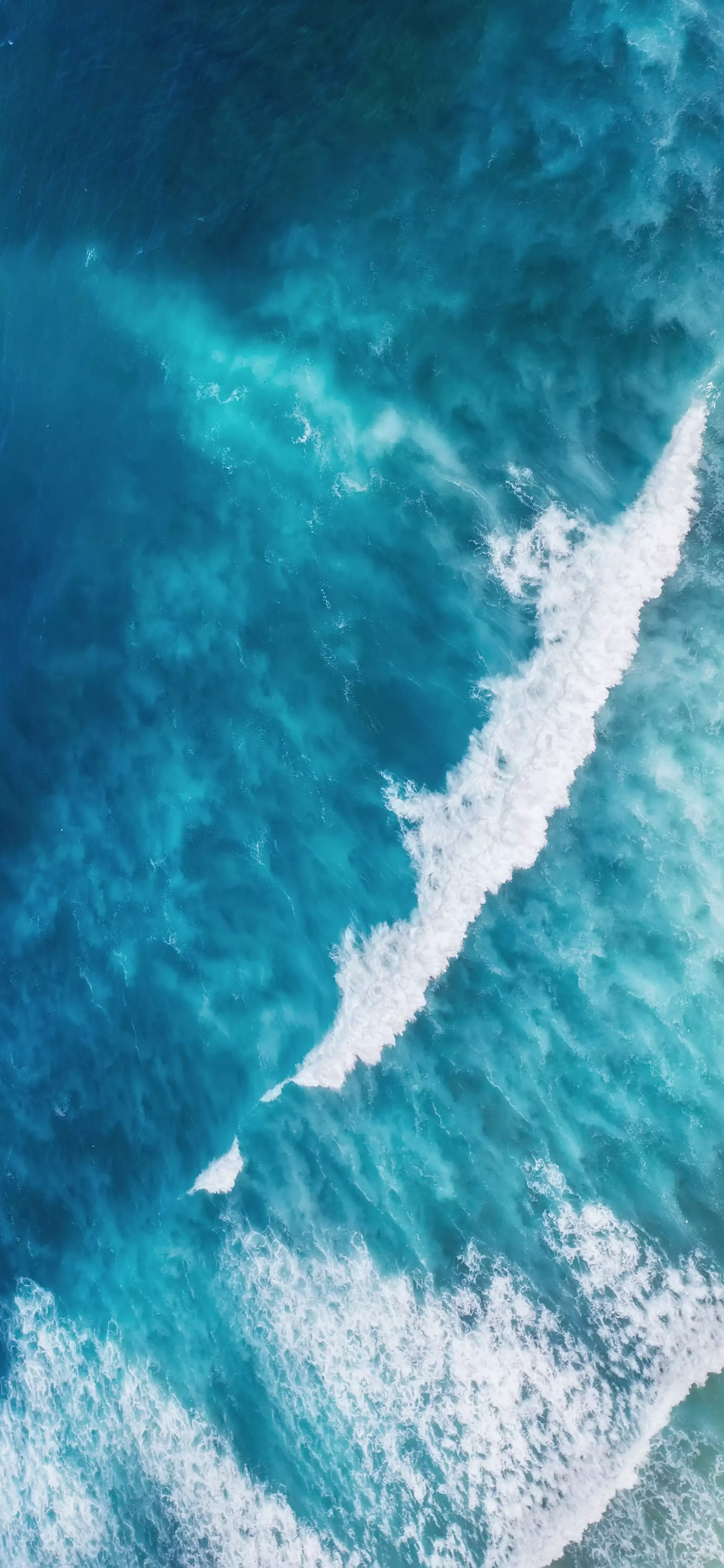 Ttlocal Sea