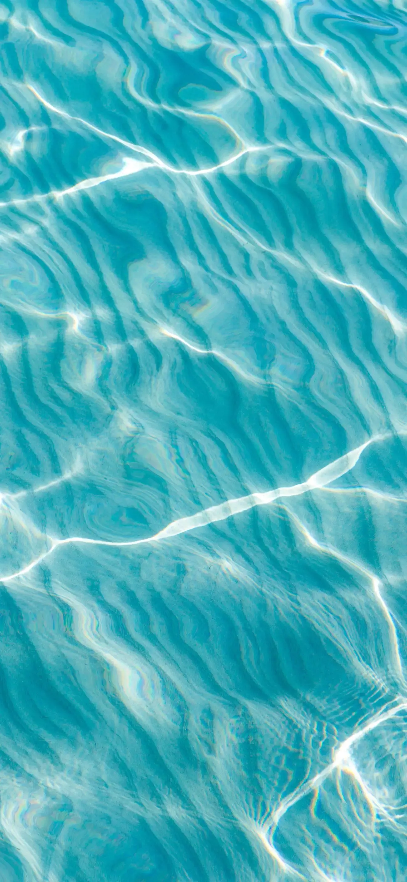 Ttlocal Sea