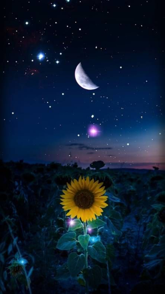 Starry Wallpaper