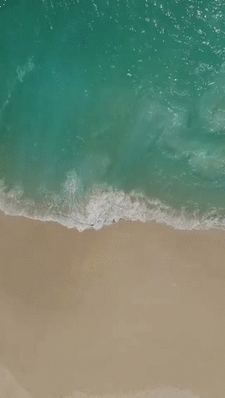 Live Wallpaper