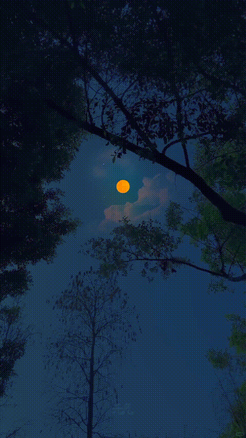 Live Wallpaper
