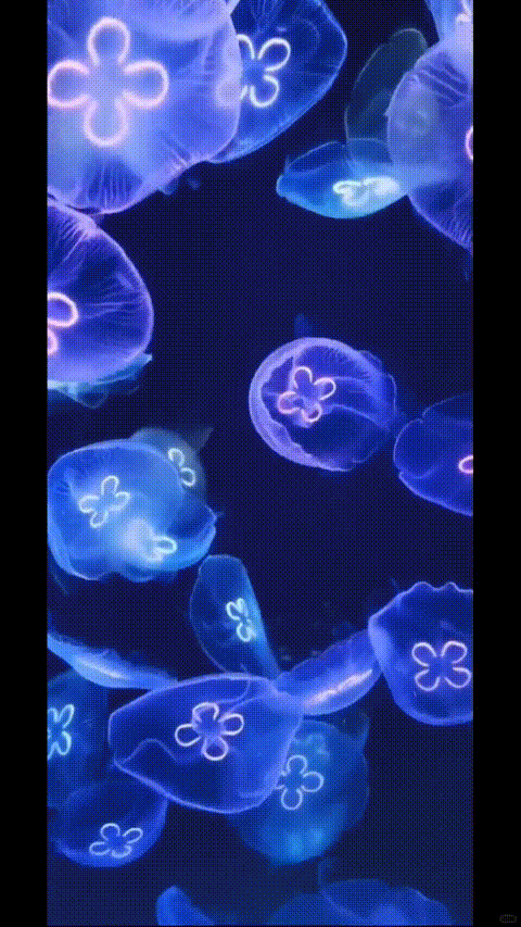 Live Wallpaper