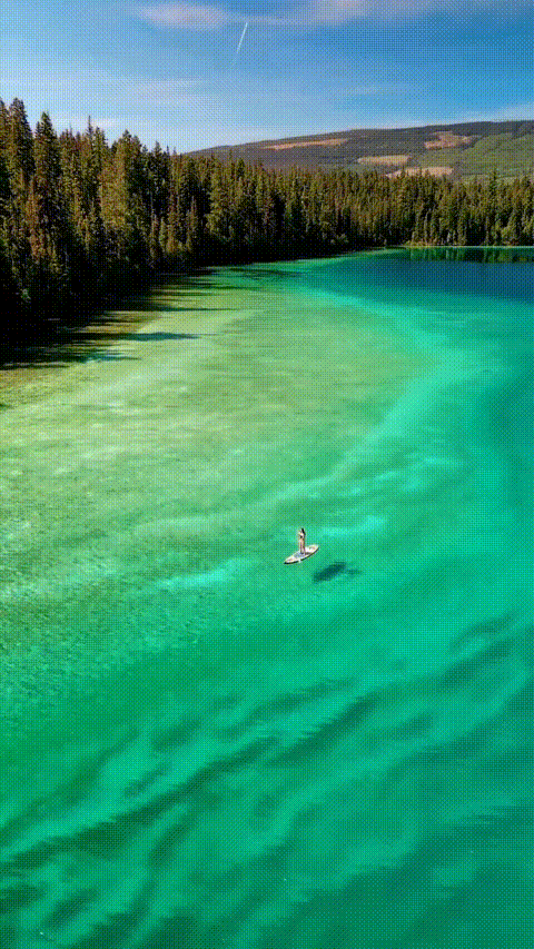 Live Wallpaper